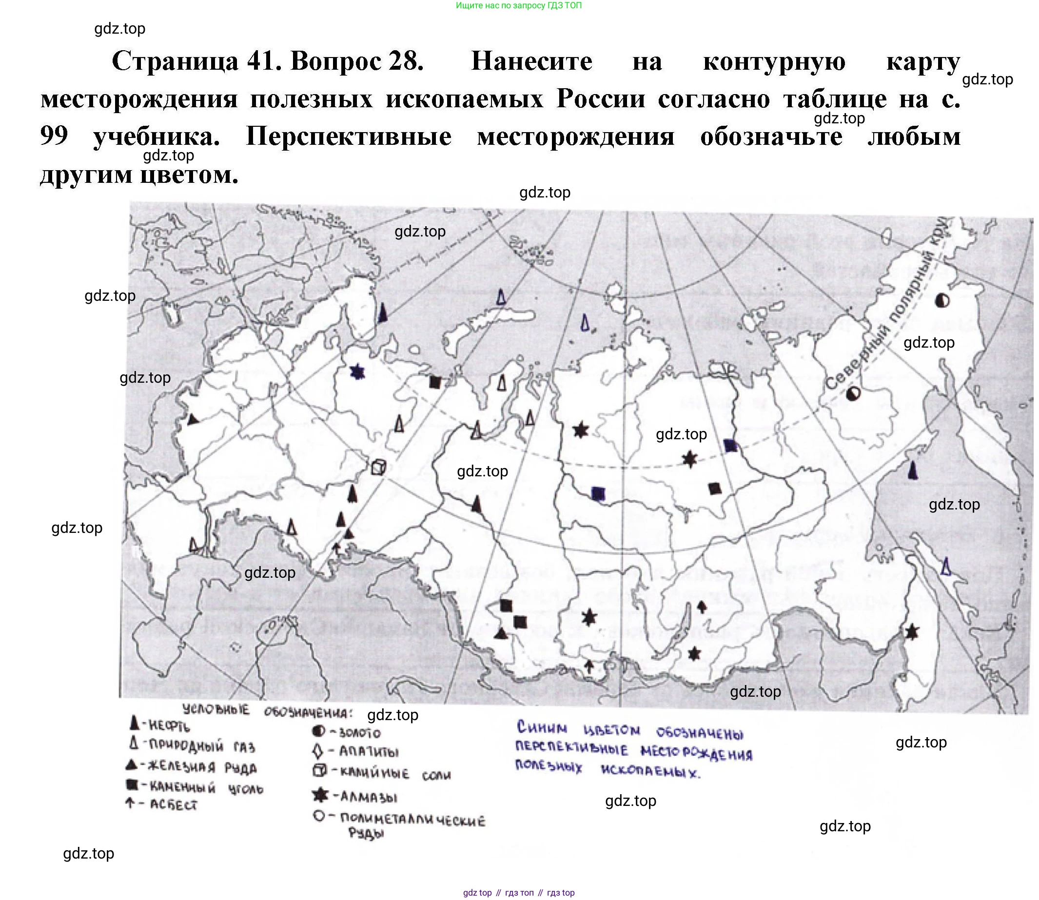 География, 8 класс Мой тренажёр, автор: Николина Вера Викторовна, издательство Просвещение, Москва, 2023, жёлтого цвета, страница 41, номер 28, Решение