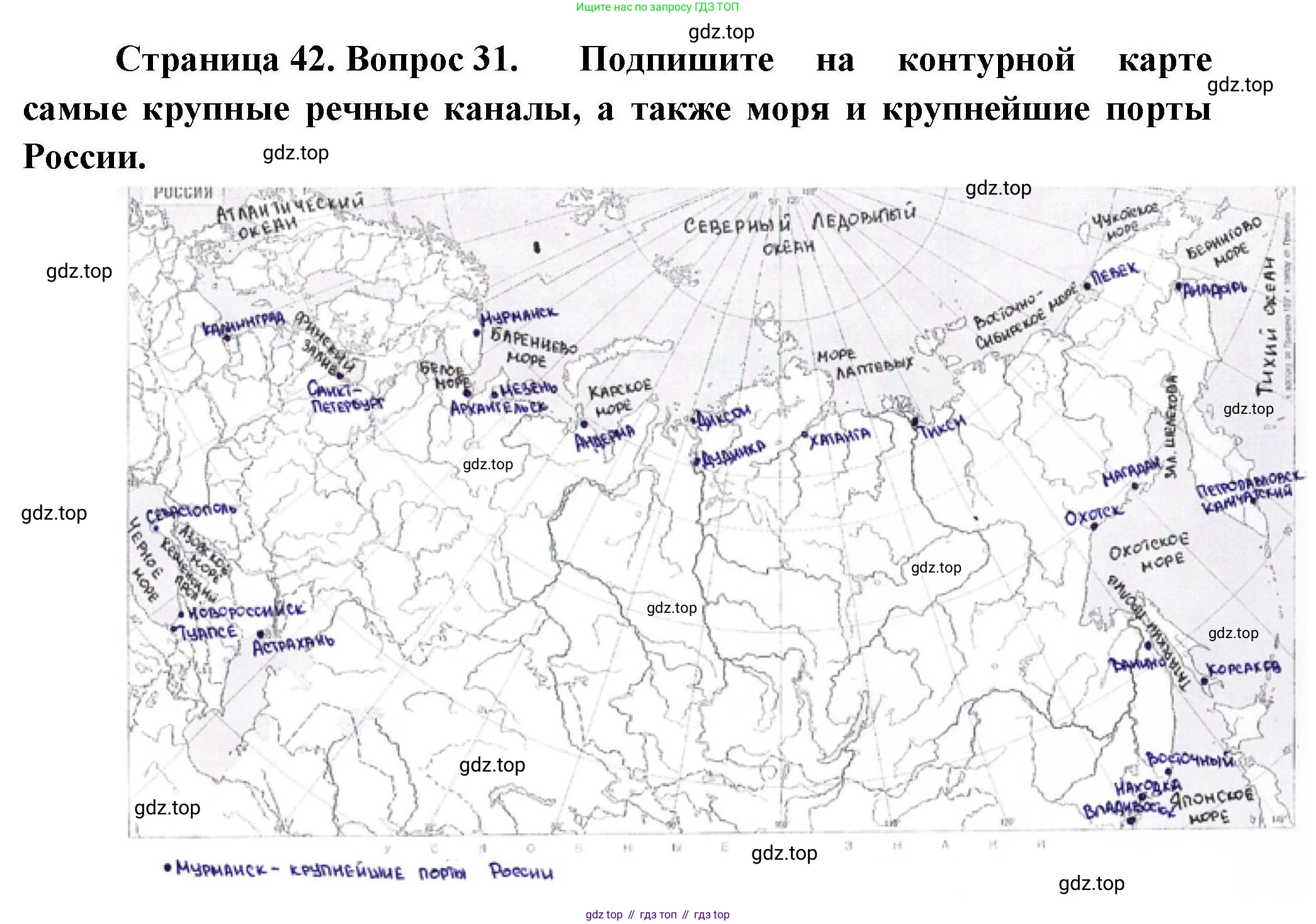 География, 8 класс Мой тренажёр, автор: Николина Вера Викторовна, издательство Просвещение, Москва, 2023, жёлтого цвета, страница 42, номер 31, Решение