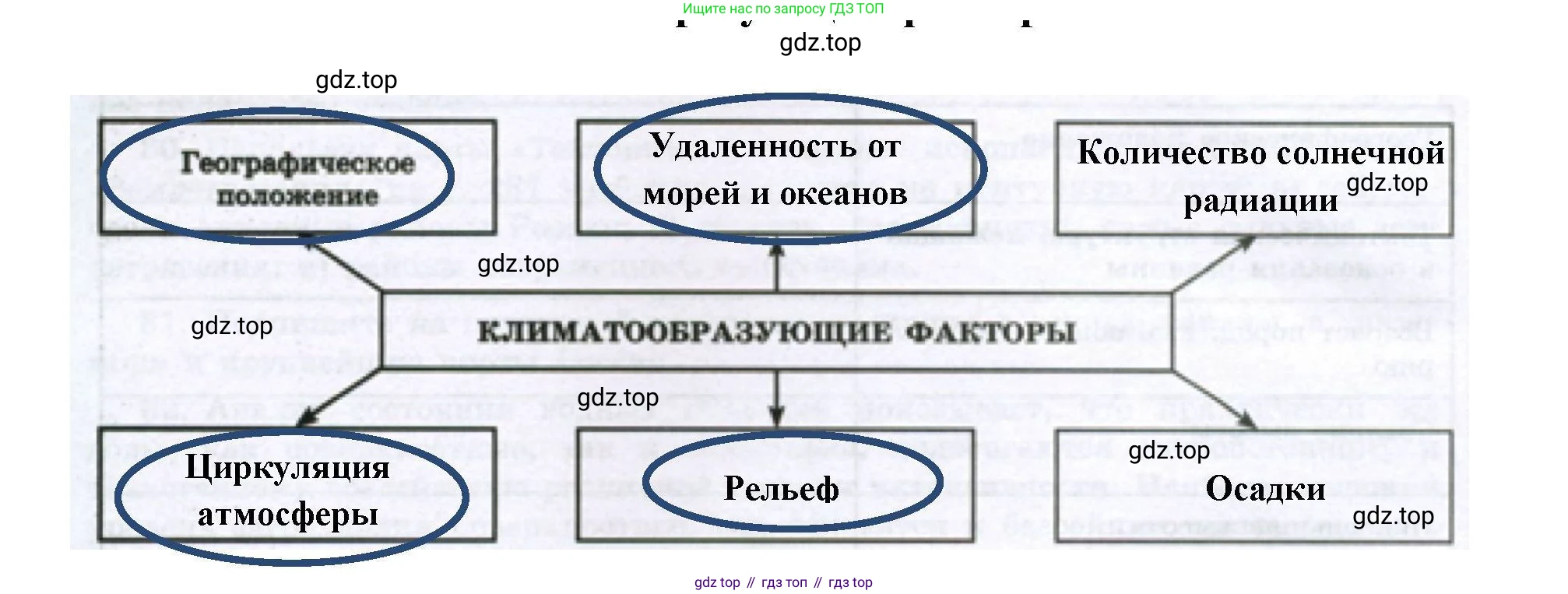География, 8 класс Мой тренажёр, автор: Николина Вера Викторовна, издательство Просвещение, Москва, 2023, жёлтого цвета, страница 43, номер 37, Решение