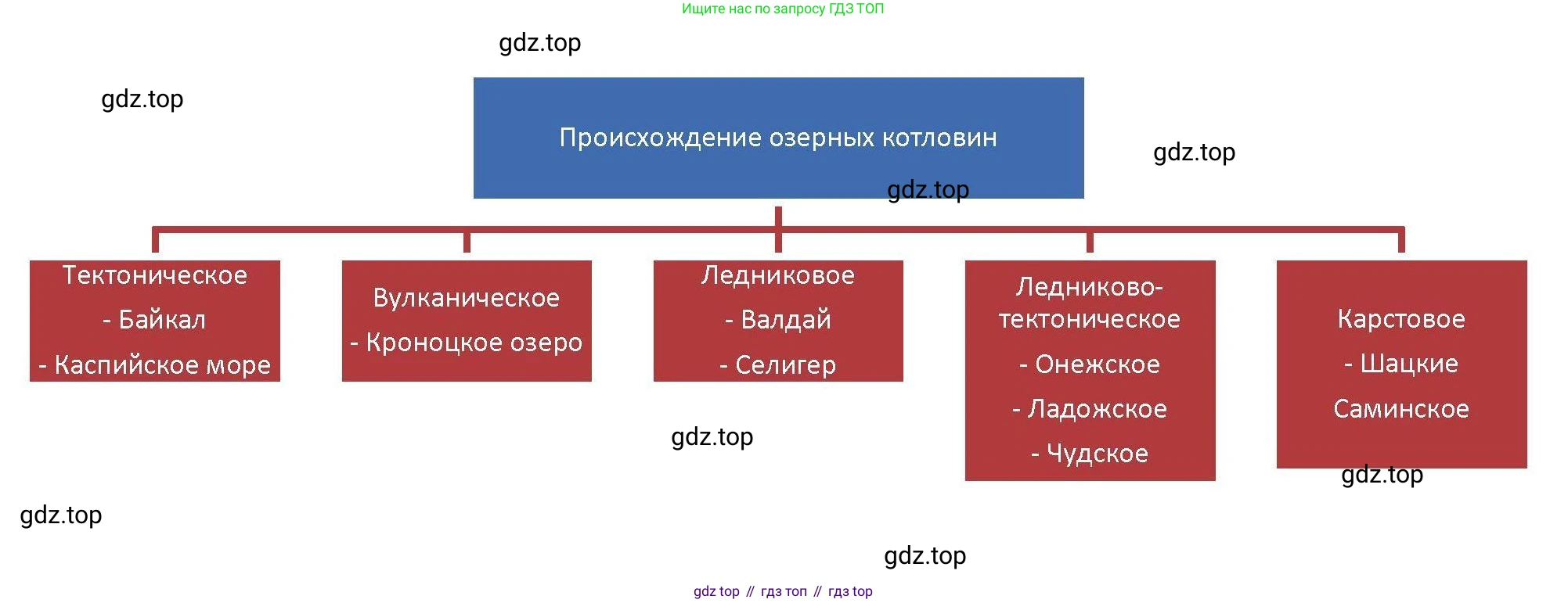 География, 8 класс Мой тренажёр, автор: Николина Вера Викторовна, издательство Просвещение, Москва, 2023, жёлтого цвета, страница 49, номер 50, Решение
