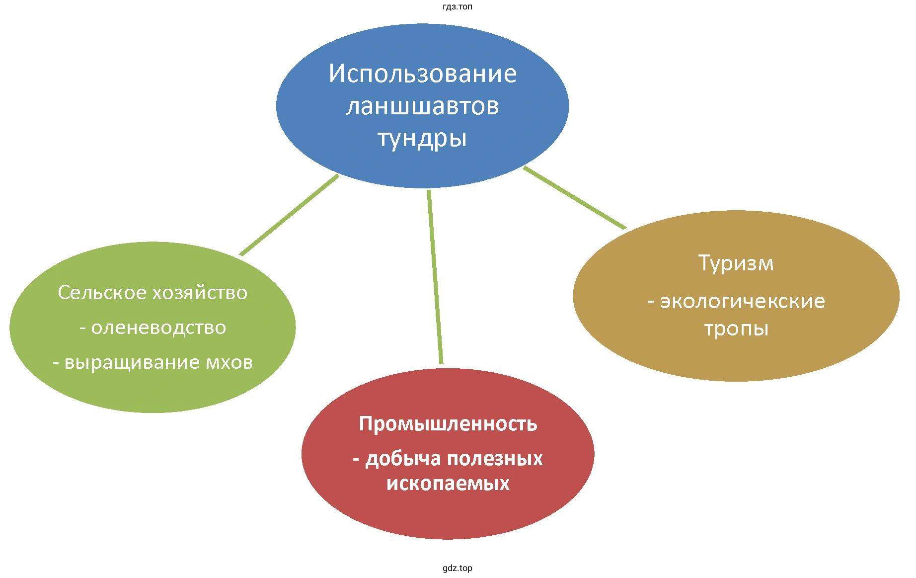 Наиболее эффективные и целесообразные способы использования ландшафтов тундры