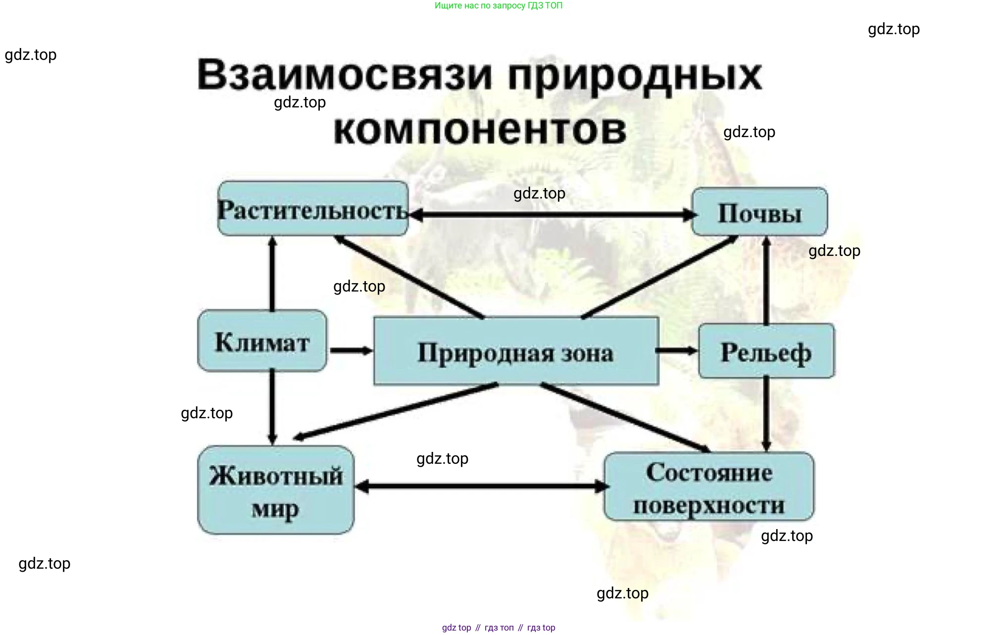 География, 8 класс Мой тренажёр, автор: Николина Вера Викторовна, издательство Просвещение, Москва, 2023, жёлтого цвета, страница 69, номер 31, Решение
