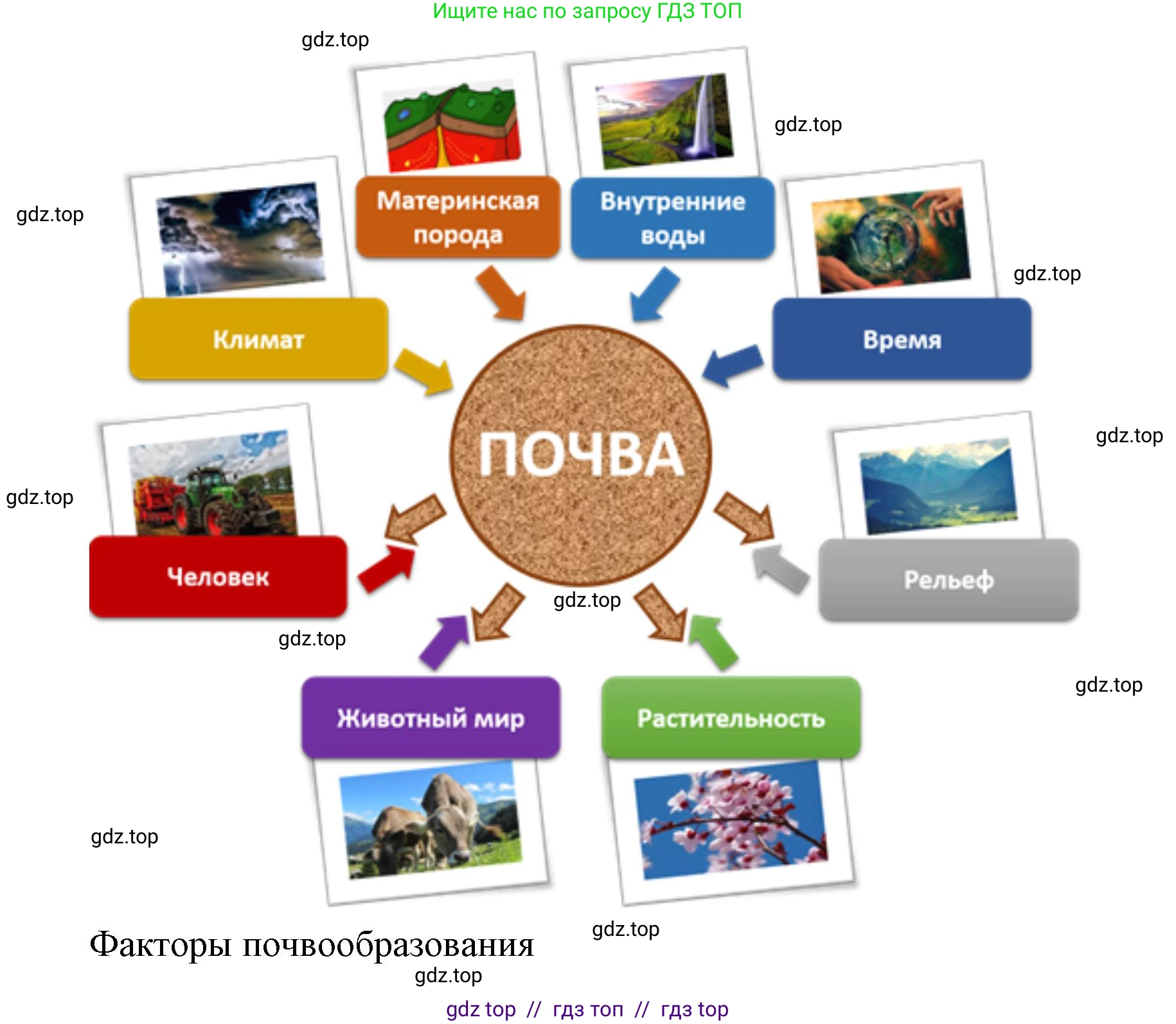 География, 8 класс Мой тренажёр, автор: Николина Вера Викторовна, издательство Просвещение, Москва, 2023, жёлтого цвета, страница 40, номер 20, Решение 2 (продолжение 2)
