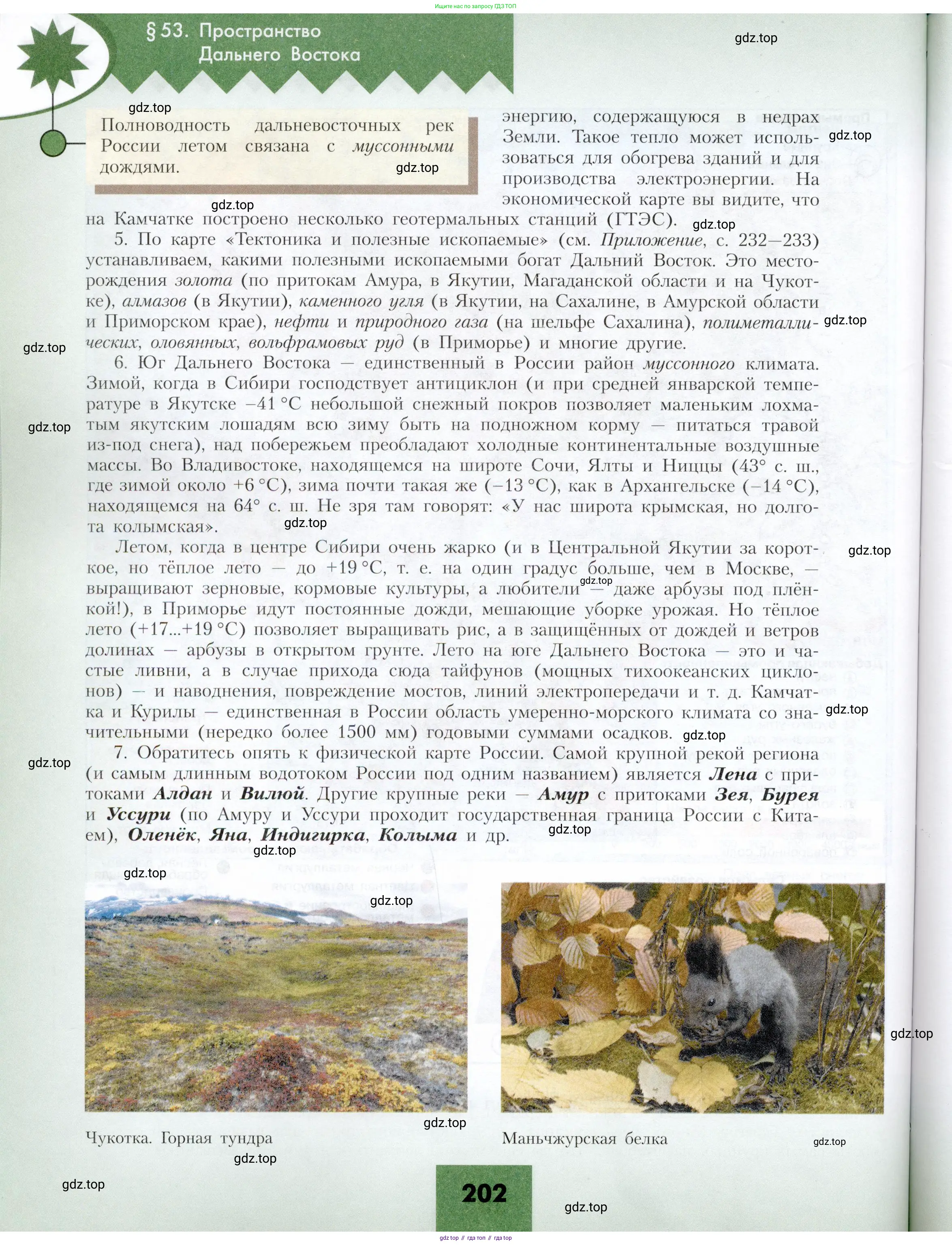 География, 9 класс Учебник, авторы: Алексеев Александр Иванович, Николина Вера Викторовна, Липкина Елена Карловна, Болысов Сергей Иванович, Кузнецова Галина Юрьевна, издательство Просвещение, Москва, 2023, жёлтого цвета, страница 202
