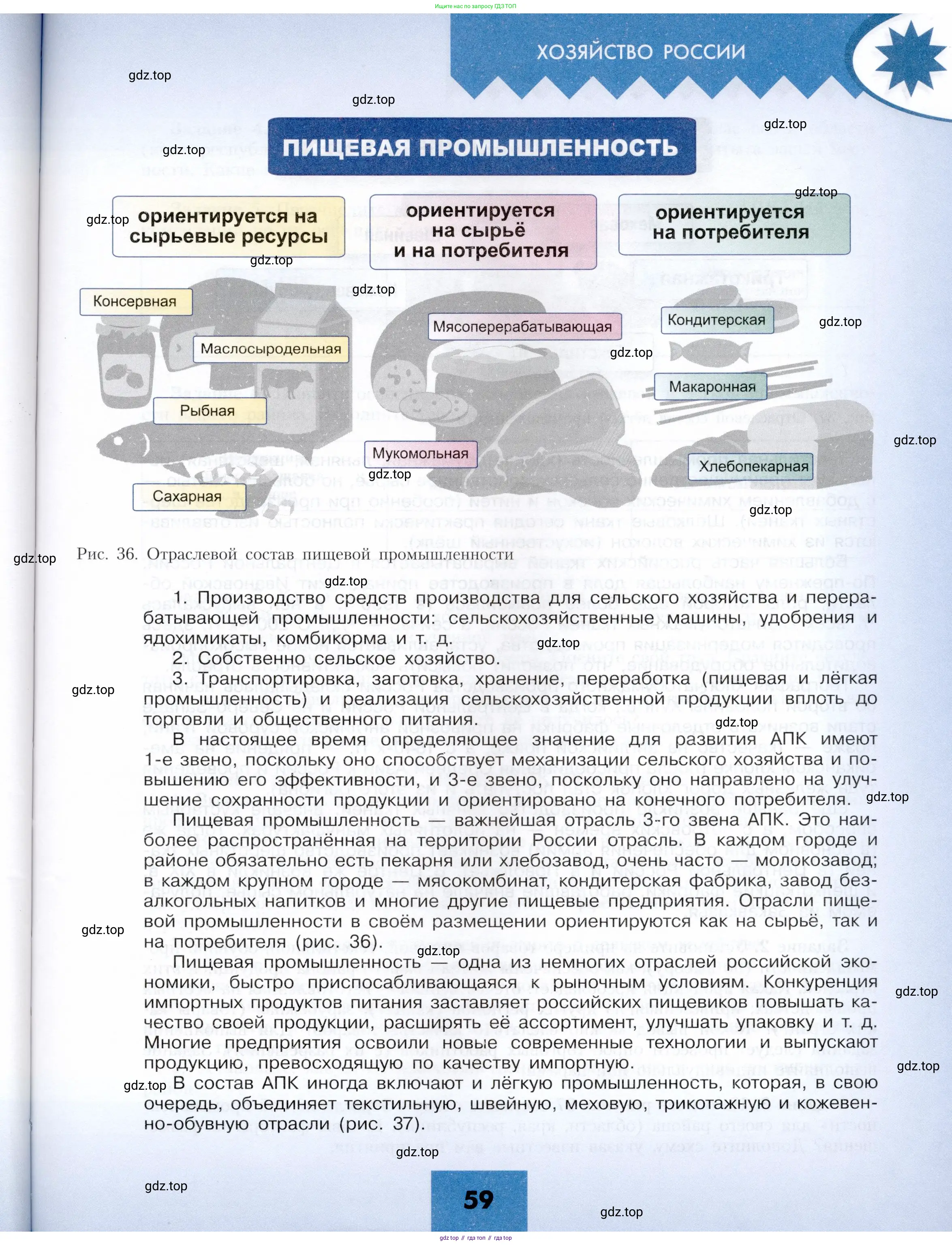 География, 9 класс Учебник, авторы: Алексеев Александр Иванович, Николина Вера Викторовна, Липкина Елена Карловна, Болысов Сергей Иванович, Кузнецова Галина Юрьевна, издательство Просвещение, Москва, 2023, жёлтого цвета, страница 59