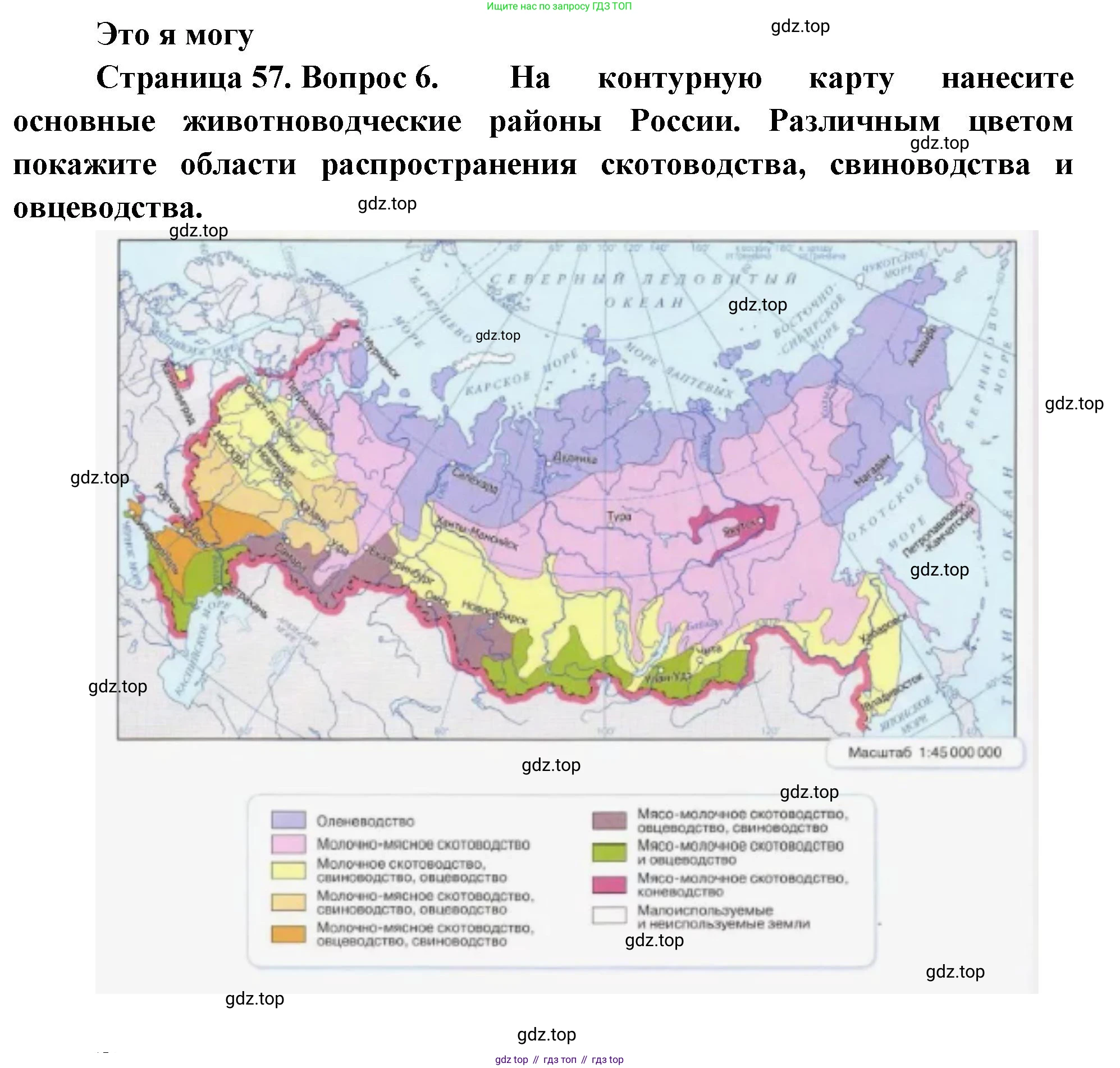 География, 9 класс Учебник, авторы: Алексеев Александр Иванович, Николина Вера Викторовна, Липкина Елена Карловна, Болысов Сергей Иванович, Кузнецова Галина Юрьевна, издательство Просвещение, Москва, 2023, жёлтого цвета, страница 57, номер 6, Решение