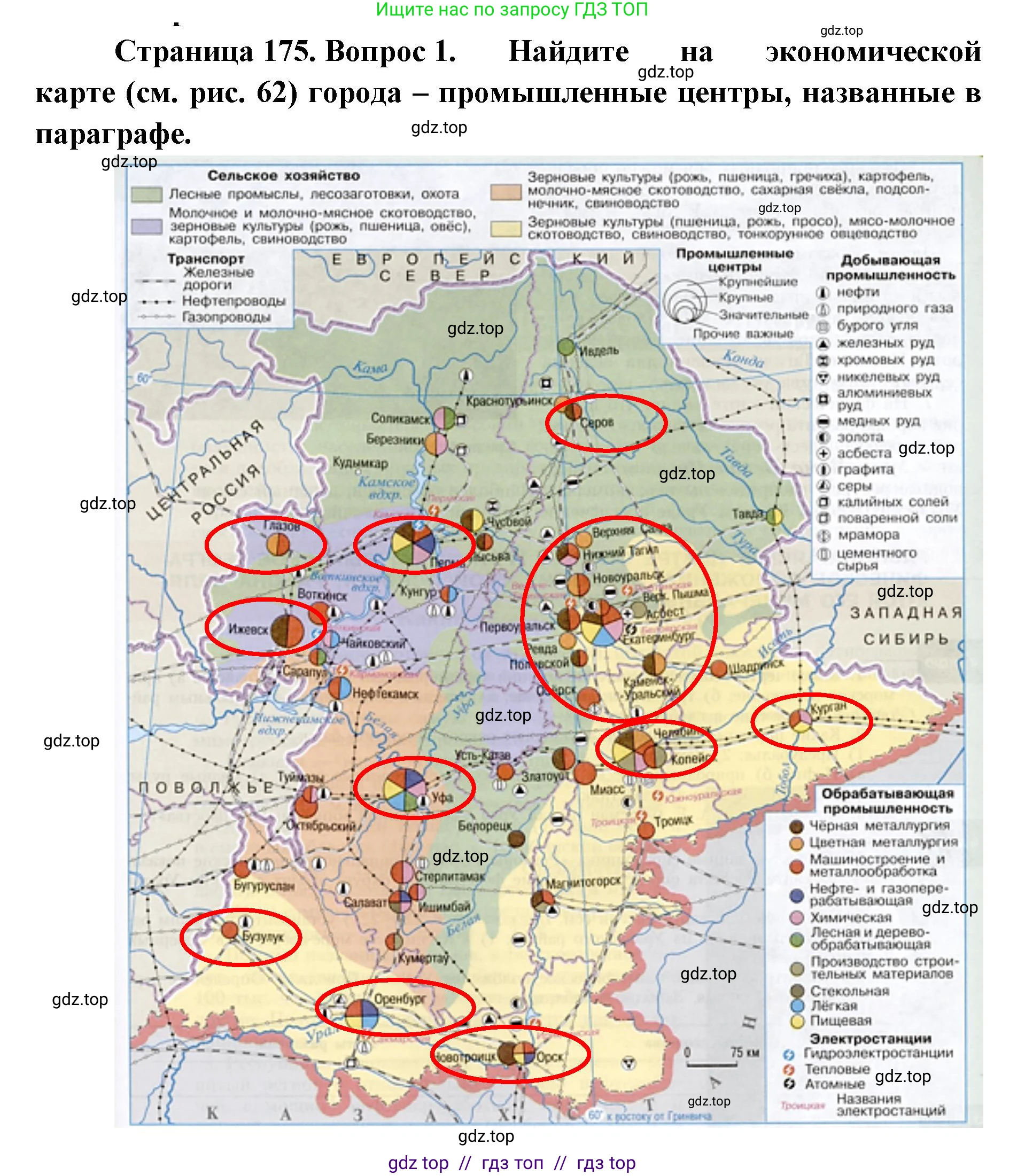 География, 9 класс Учебник, авторы: Алексеев Александр Иванович, Николина Вера Викторовна, Липкина Елена Карловна, Болысов Сергей Иванович, Кузнецова Галина Юрьевна, издательство Просвещение, Москва, 2023, жёлтого цвета, страница 175, номер 1, Решение 2