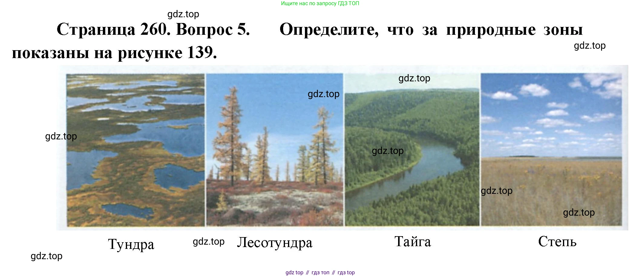 География, 9 класс Учебник, авторы: Алексеев Александр Иванович, Низовцев Вячеслав Алексеевич, Ким Эльвира Васильевна, Лисенкова Галина Яковлевна, Сиротин Владимир Иванович, издательство Просвещение, Москва, 2022, белого цвета, страница 260, номер 5, Решение