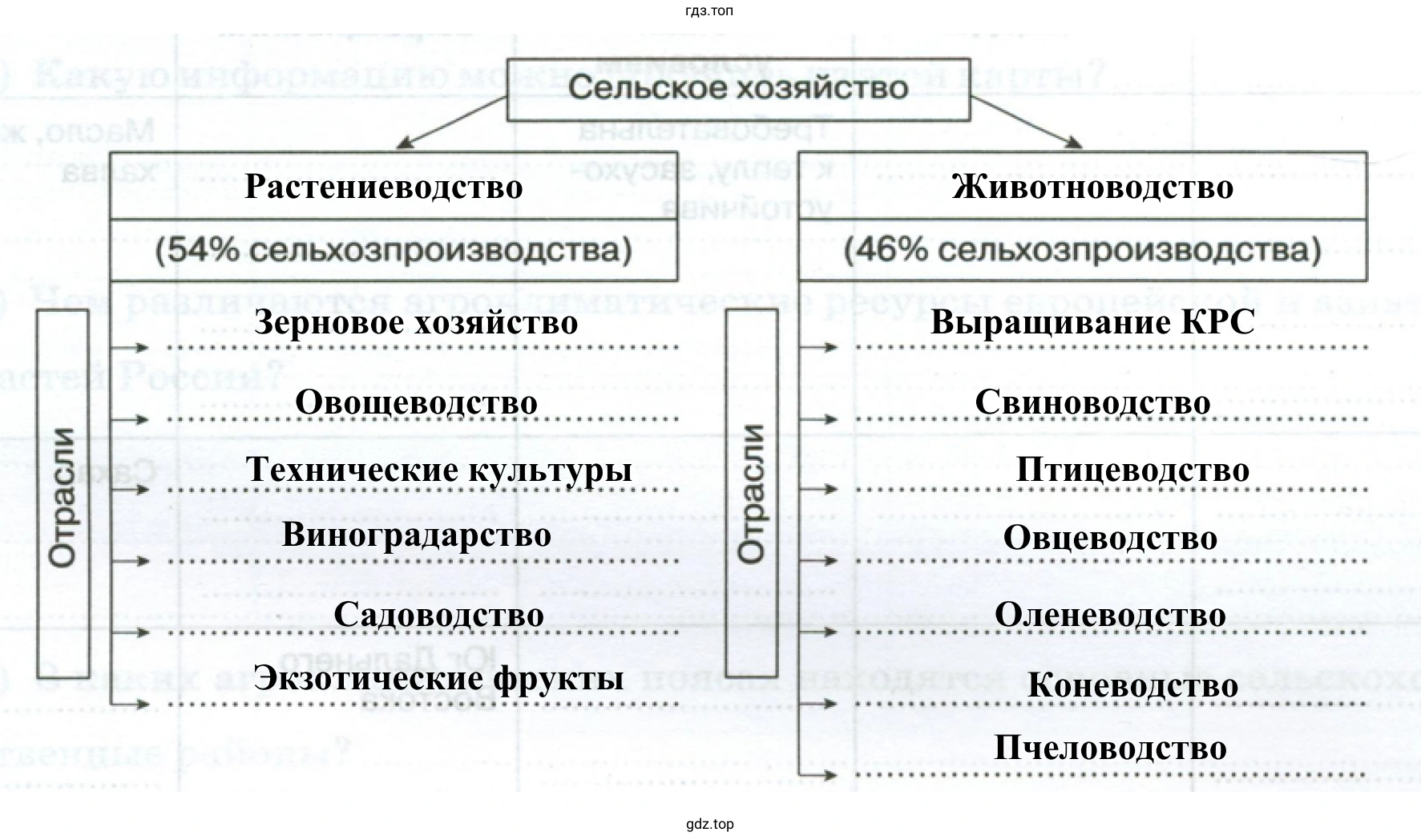 Сельское хозяйство