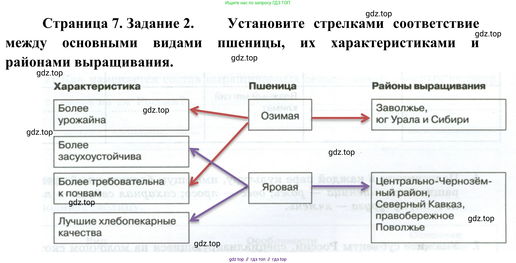 География, 9 класс рабочая тетрадь, авторы: Ким Эльвира Васильевна, Марченко Наталия Адольфовна, Низовцев Вячеслав Алексеевич, издательство Просвещение, Москва, 2023, белого цвета, страница 7, номер 2, Решение