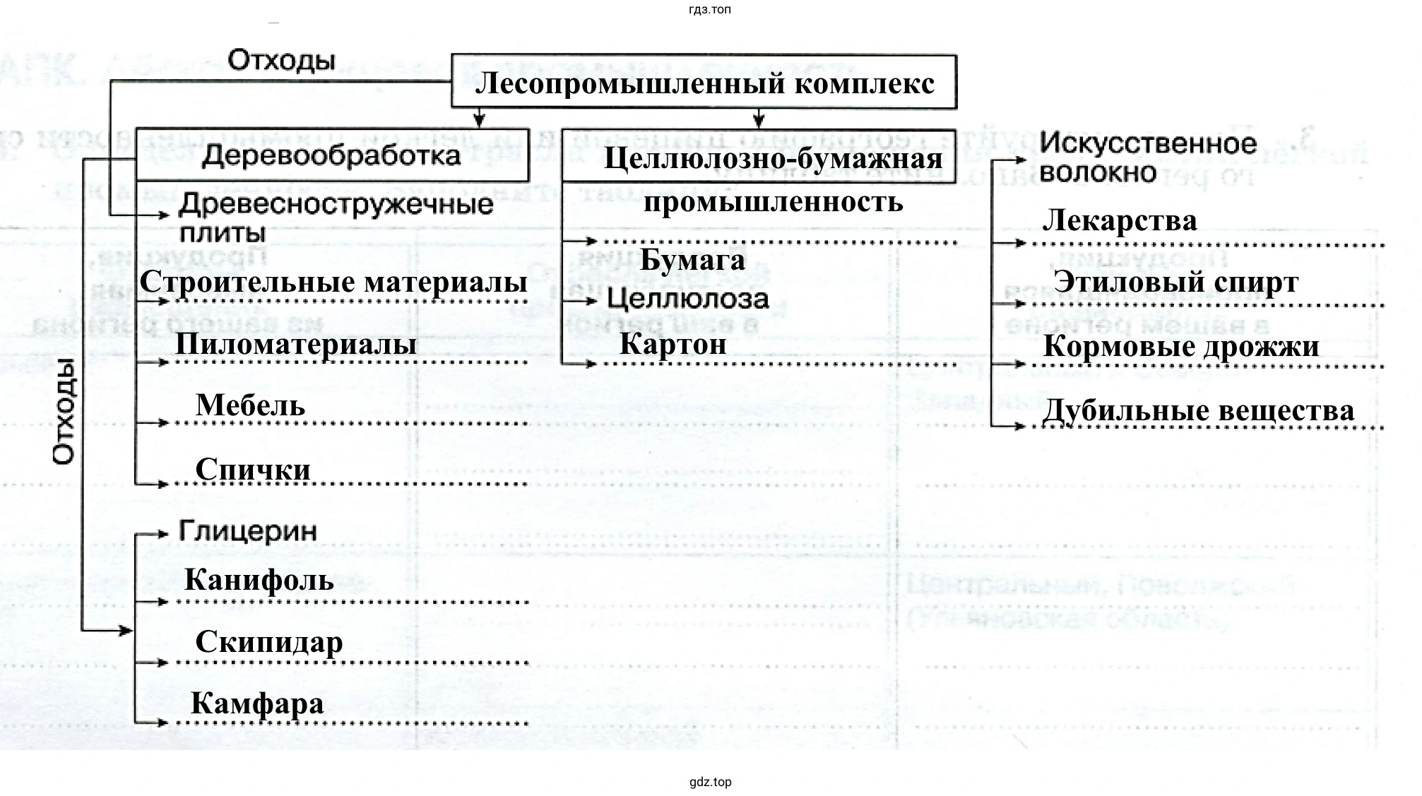 Применение древесины в быту и в народном хозяйстве
