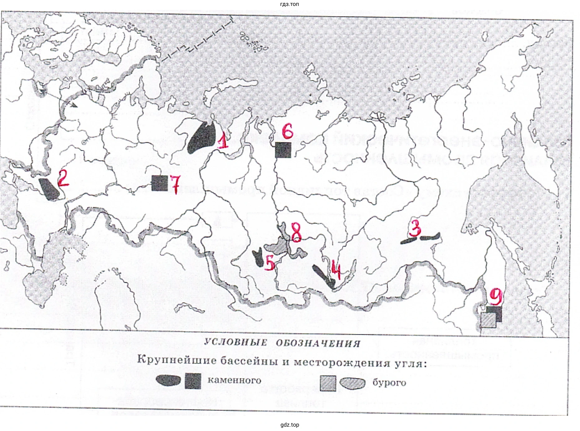 Угольные бассейны России