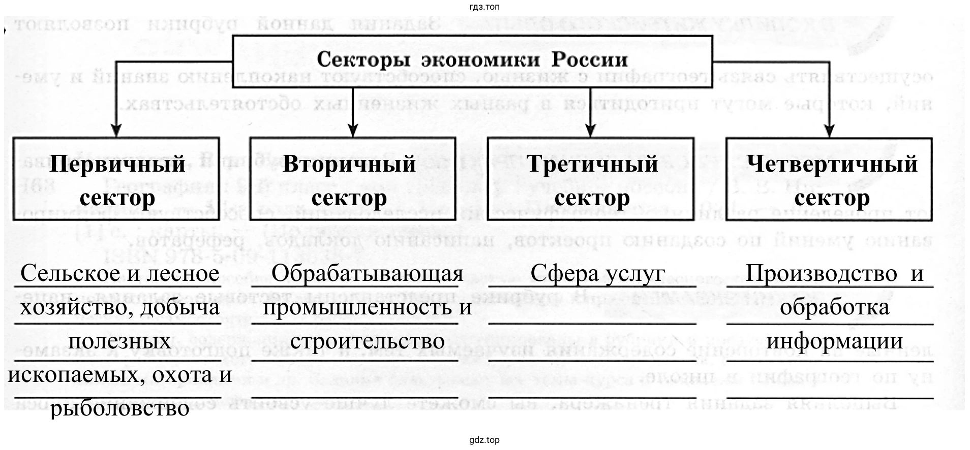 Схема 2. Секторы экономики России