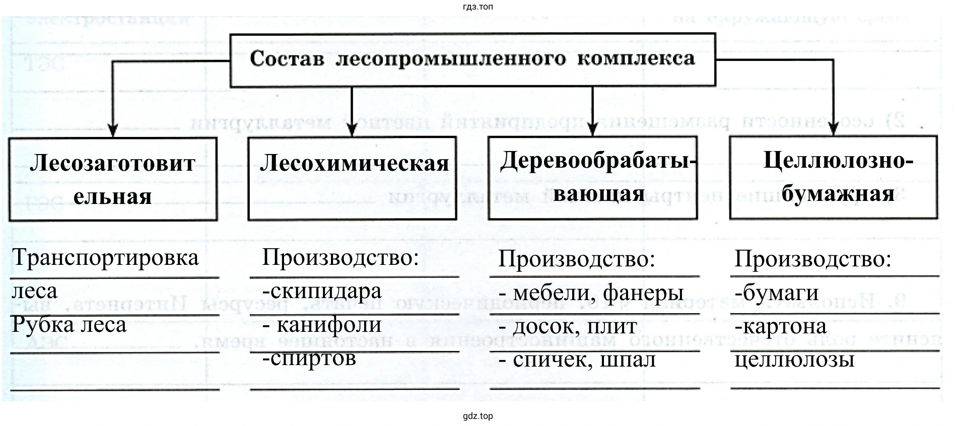 Рисунок 2. Схема. Состав лесопромышленного комплекса