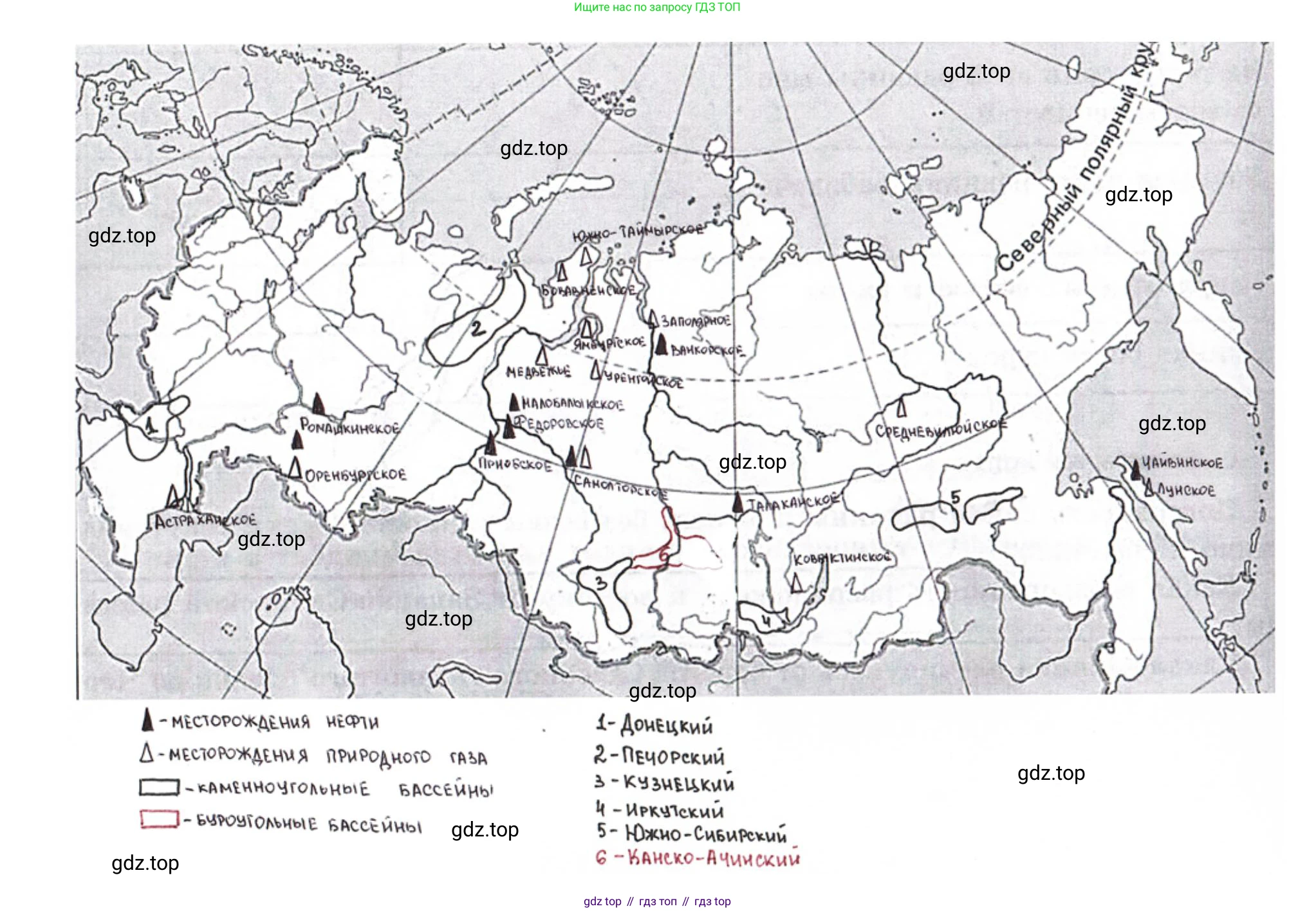 ГДЗ География, 9 класс Мой тренажёр, автор: Николина Вера Викторовна, издательство Просвещение, Москва, 2023, жёлтого цвета, страница 10, номер 19, Решение (продолжение 2)