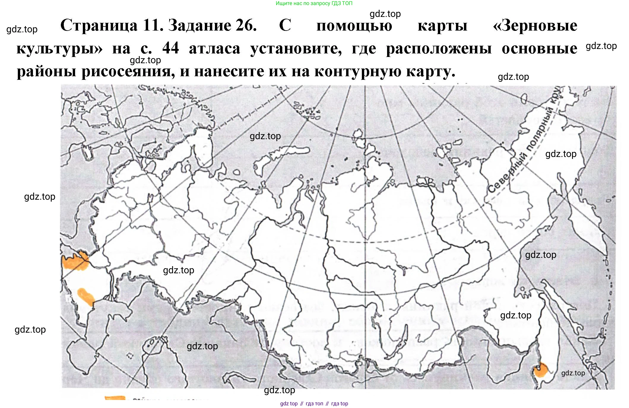 География, 9 класс Мой тренажёр, автор: Николина Вера Викторовна, издательство Просвещение, Москва, 2023, жёлтого цвета, страница 11, номер 26, Решение