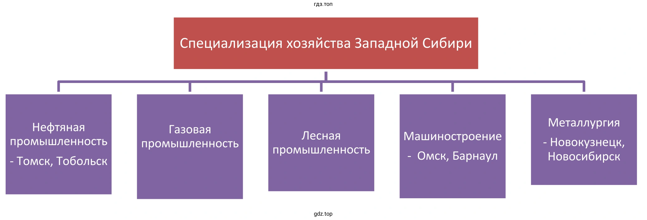 Схема. Специализация хозяйств Западной Сибири