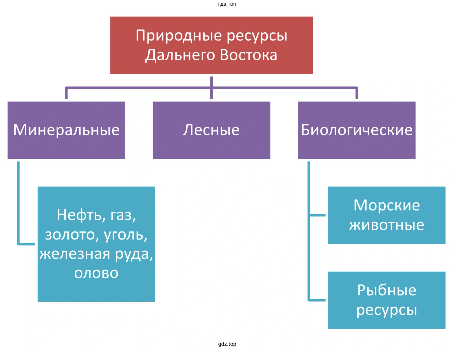 Схема. Природные ресурсы Дальнего Востока