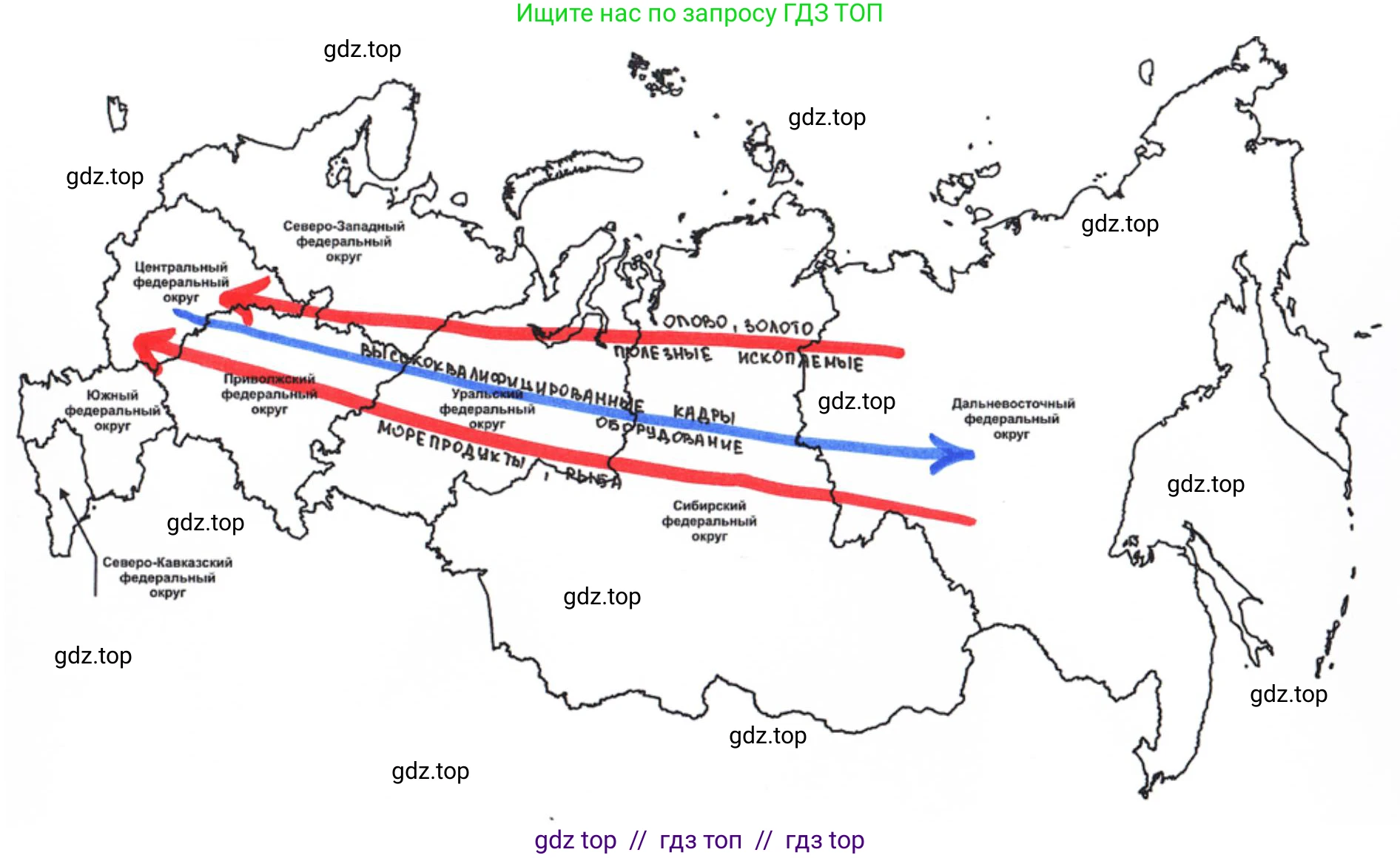 География, 9 класс Мой тренажёр, автор: Николина Вера Викторовна, издательство Просвещение, Москва, 2023, жёлтого цвета, страница 76, номер 11, Решение 2 (продолжение 2)