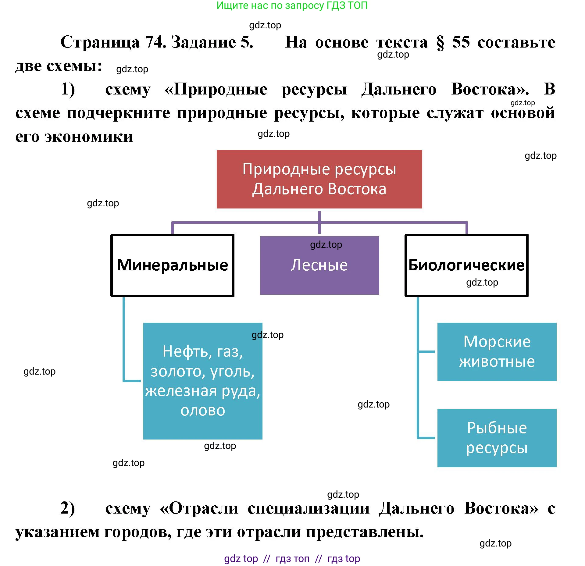 География, 9 класс Мой тренажёр, автор: Николина Вера Викторовна, издательство Просвещение, Москва, 2023, жёлтого цвета, страница 74, номер 5, Решение 2