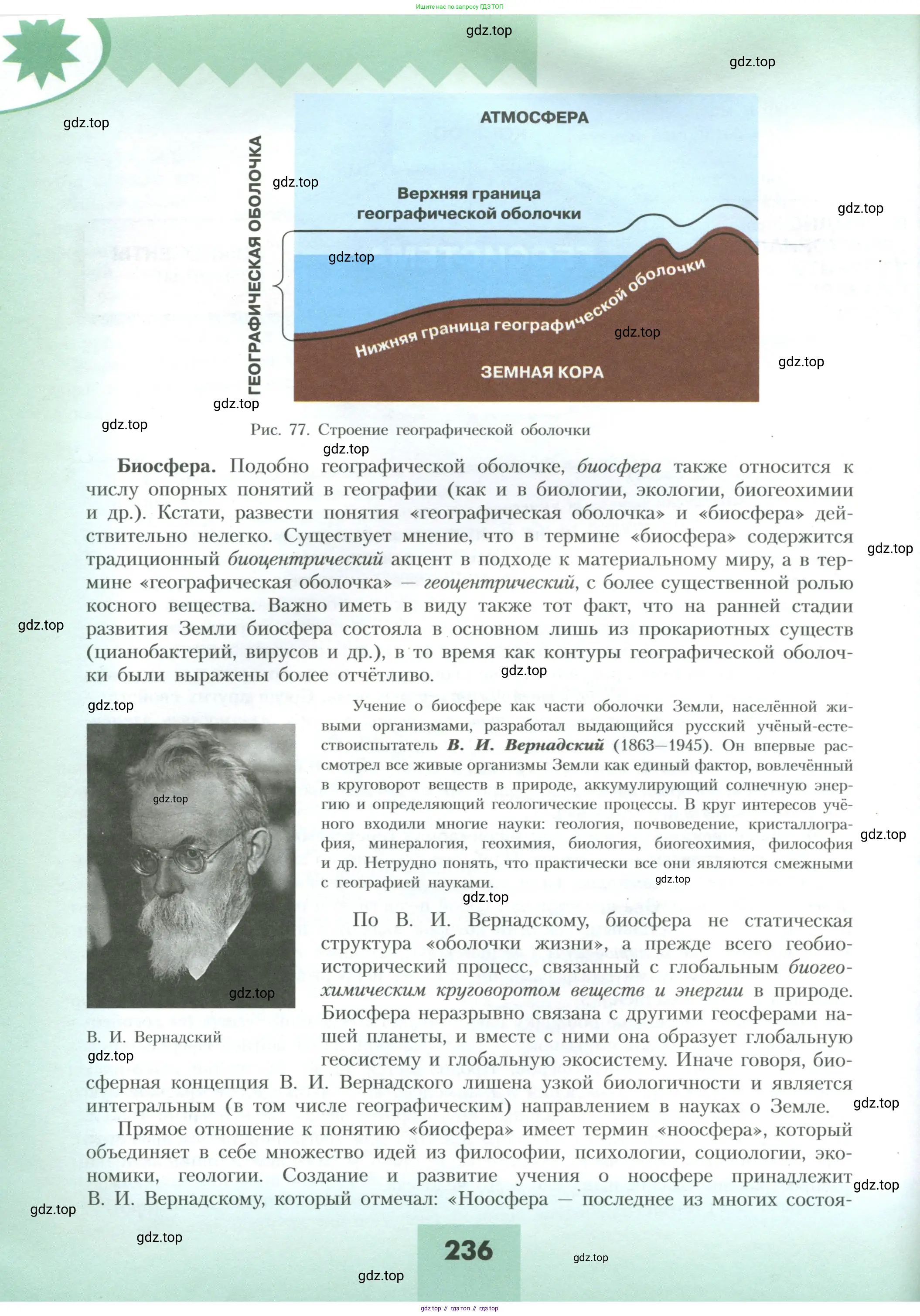 География, 10 класс Учебник, авторы: Гладкий Юрий Никифорович, Николина Вера Викторовна, издательство Просвещение, Москва, 2019, жёлтого цвета, страница 236