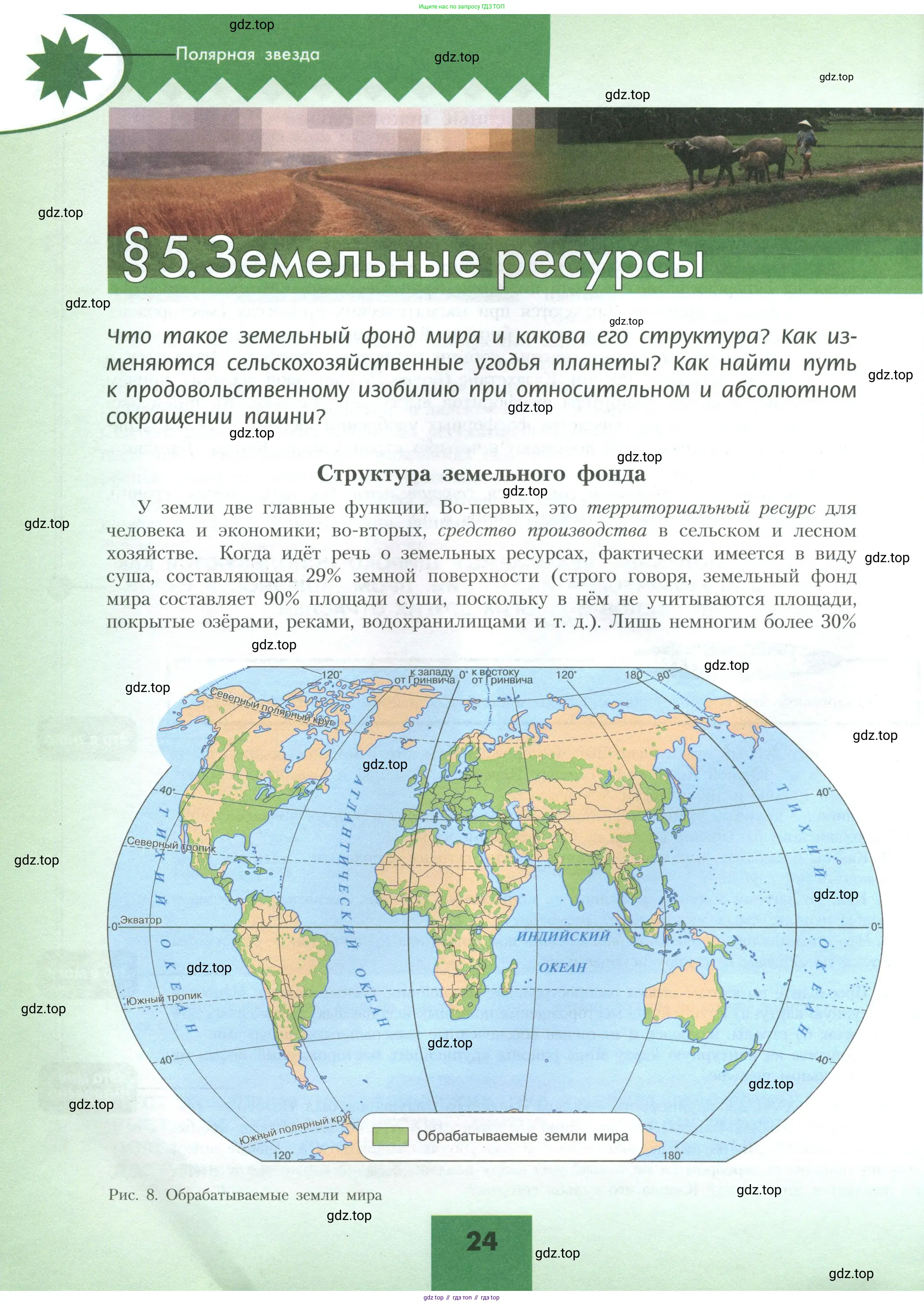 География, 10 класс Учебник, авторы: Гладкий Юрий Никифорович, Николина Вера Викторовна, издательство Просвещение, Москва, 2019, жёлтого цвета, страница 24