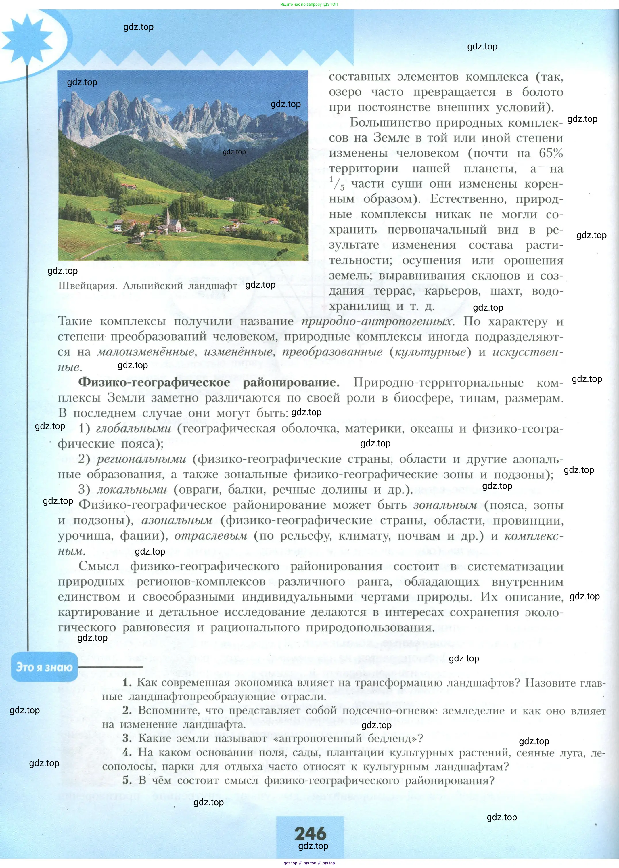 География, 10 класс Учебник, авторы: Гладкий Юрий Никифорович, Николина Вера Викторовна, издательство Просвещение, Москва, 2019, жёлтого цвета, страница 246