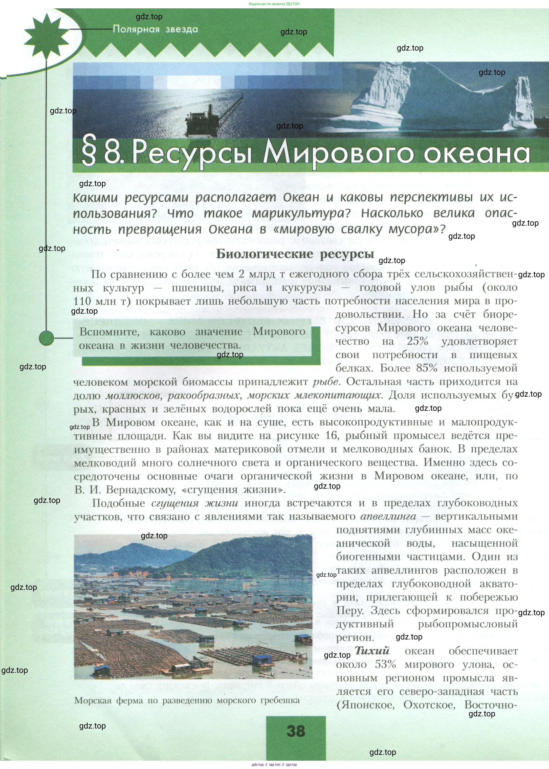 География, 10 класс Учебник, авторы: Гладкий Юрий Никифорович, Николина Вера Викторовна, издательство Просвещение, Москва, 2019, жёлтого цвета, страница 38