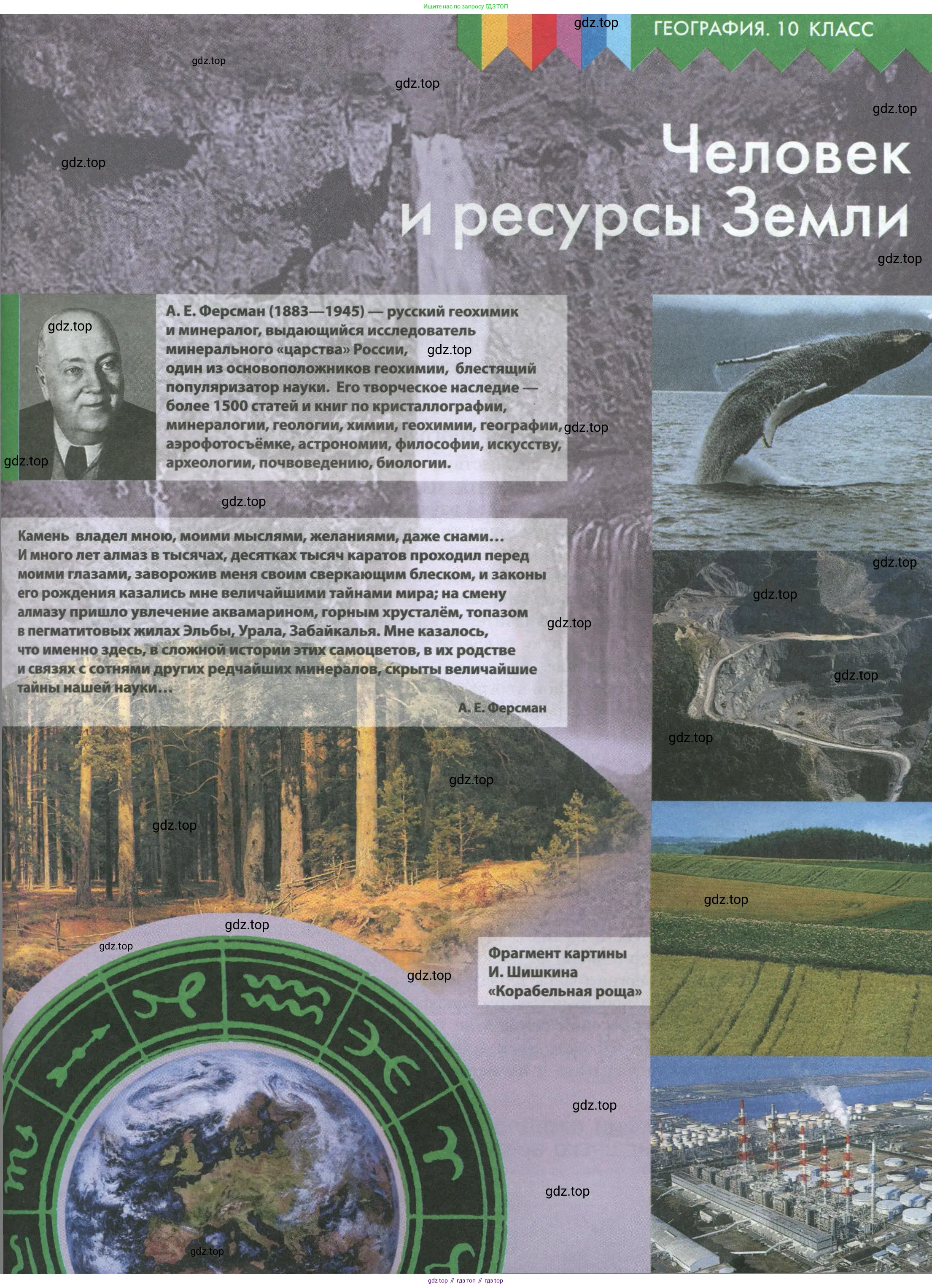 География, 10 класс Учебник, авторы: Гладкий Юрий Никифорович, Николина Вера Викторовна, издательство Просвещение, Москва, 2019, жёлтого цвета, страница 5