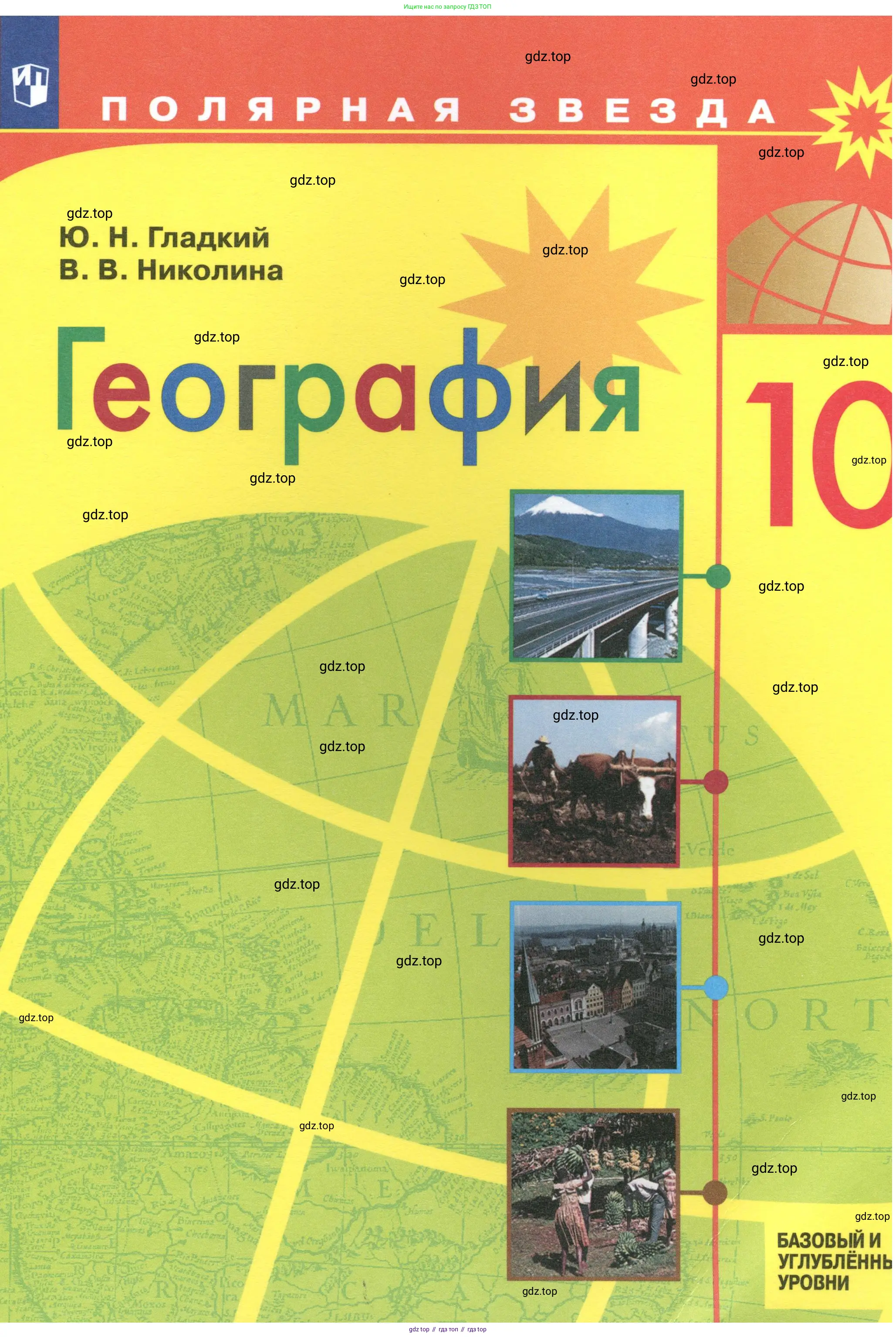 География, 10 класс Учебник, авторы: Гладкий Юрий Никифорович, Николина Вера Викторовна, издательство Просвещение, Москва, 2019, жёлтого цвета, 