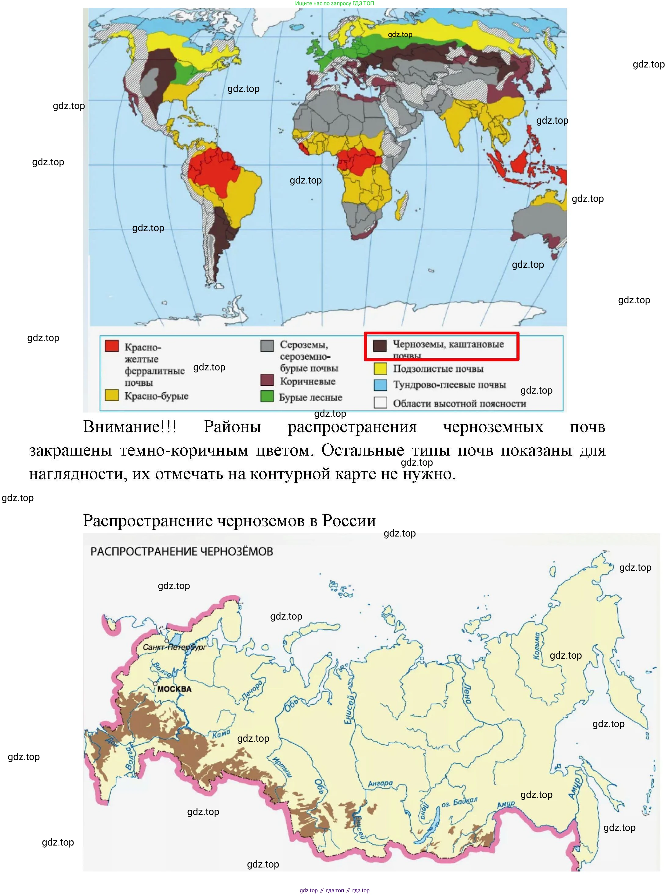 География, 10 класс Учебник, авторы: Гладкий Юрий Никифорович, Николина Вера Викторовна, издательство Просвещение, Москва, 2019, жёлтого цвета, страница 27, номер 7, Решение (продолжение 2)