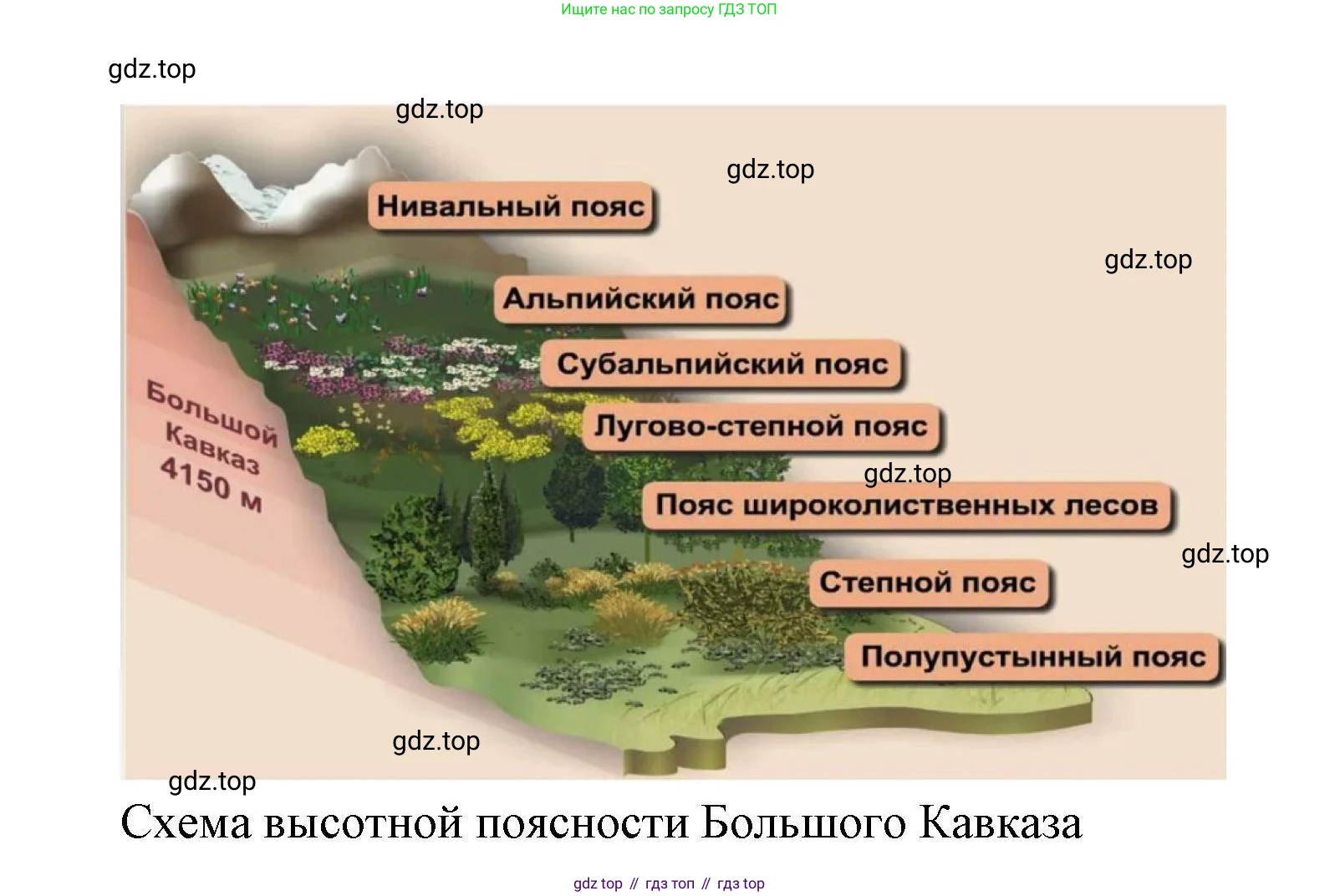 География, 10 класс Учебник, авторы: Гладкий Юрий Никифорович, Николина Вера Викторовна, издательство Просвещение, Москва, 2019, жёлтого цвета, страница 244, номер 4, Решение (продолжение 2)