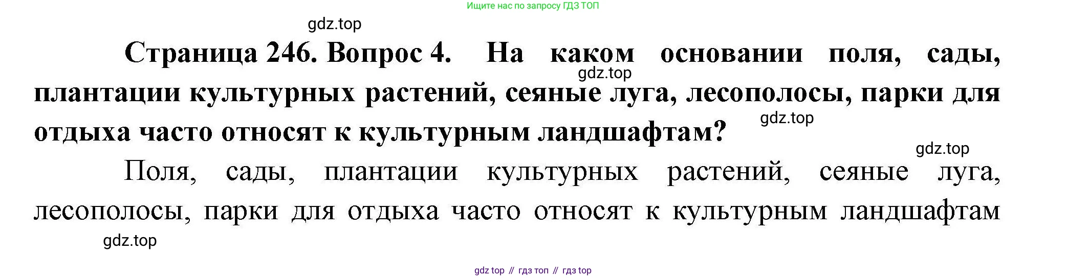 География, 10 класс Учебник, авторы: Гладкий Юрий Никифорович, Николина Вера Викторовна, издательство Просвещение, Москва, 2019, жёлтого цвета, страница 246, номер 4, Решение