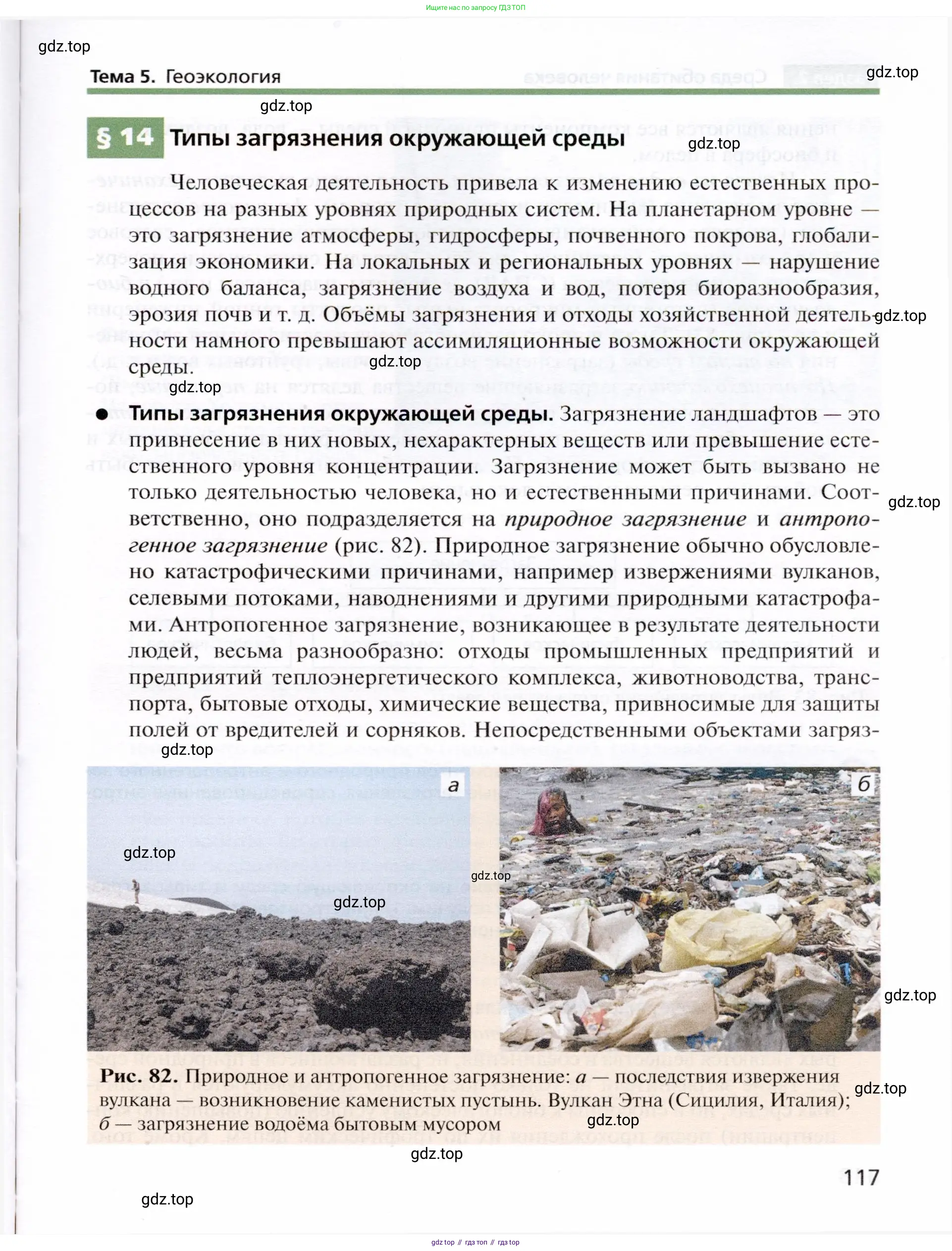 География, 10 класс Учебник, автор: Холина Вероника Николаевна, издательство Просвещение, Москва, 2019, белого цвета, страница 117
