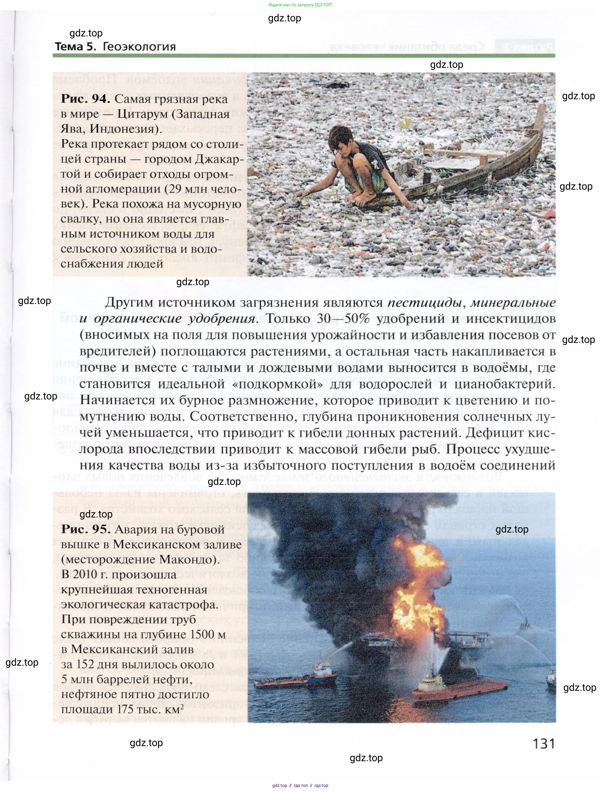 География, 10 класс Учебник, автор: Холина Вероника Николаевна, издательство Просвещение, Москва, 2019, белого цвета, страница 131