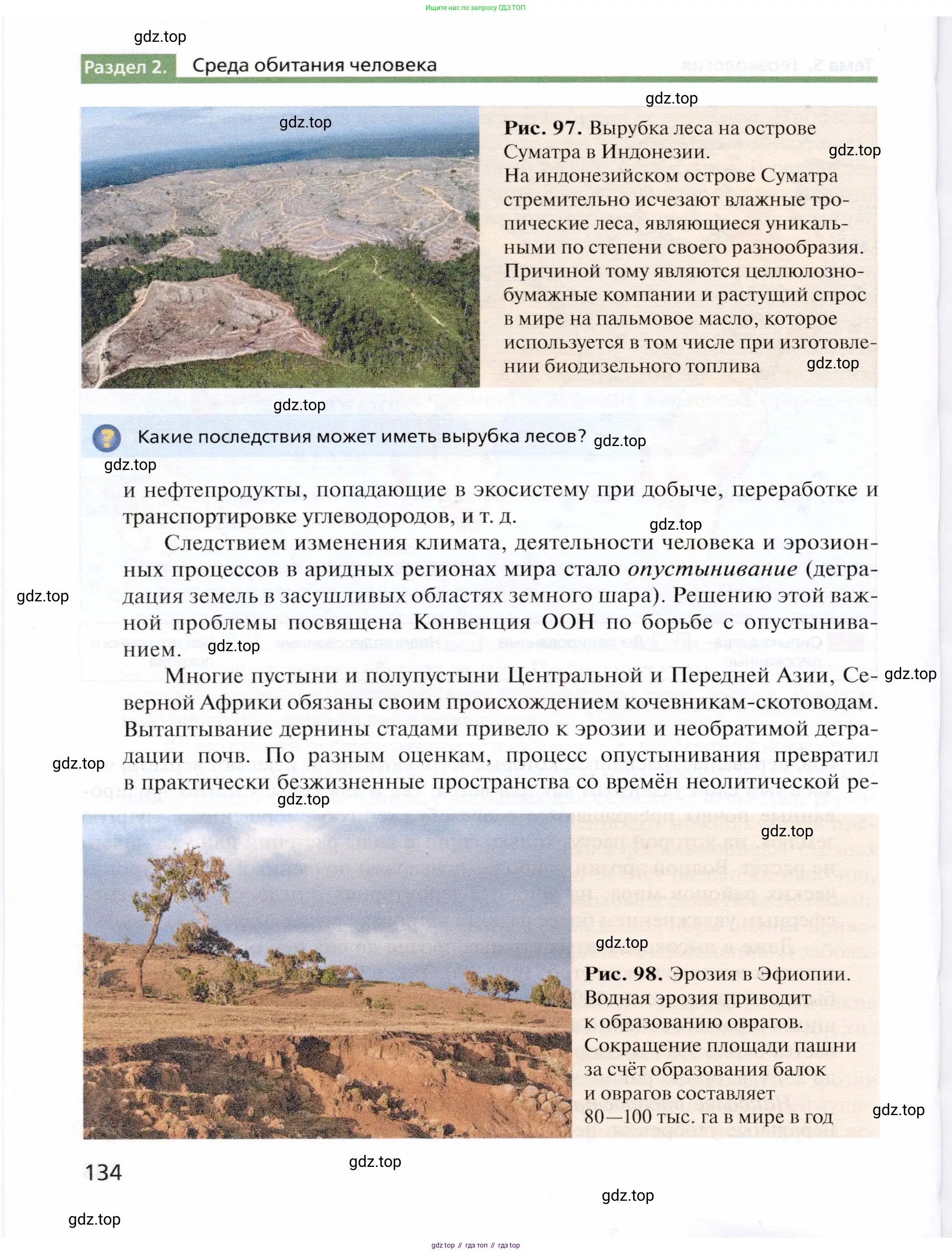 География, 10 класс Учебник, автор: Холина Вероника Николаевна, издательство Просвещение, Москва, 2019, белого цвета, страница 134