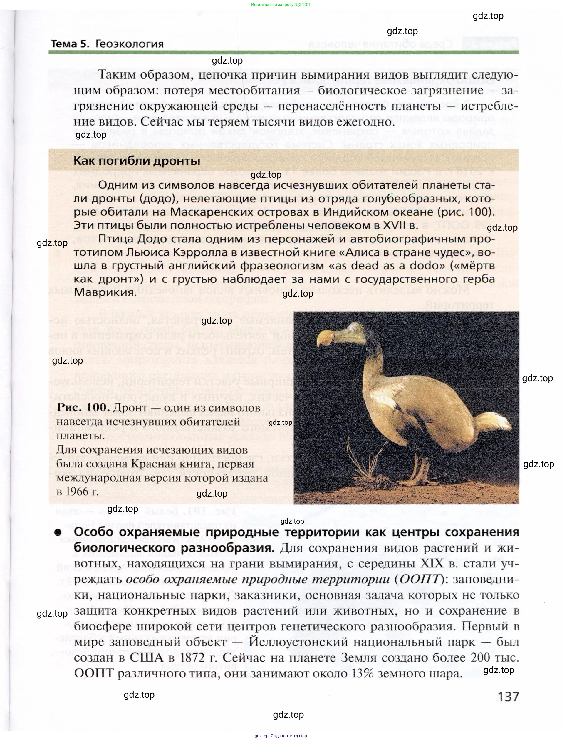 География, 10 класс Учебник, автор: Холина Вероника Николаевна, издательство Просвещение, Москва, 2019, белого цвета, страница 137