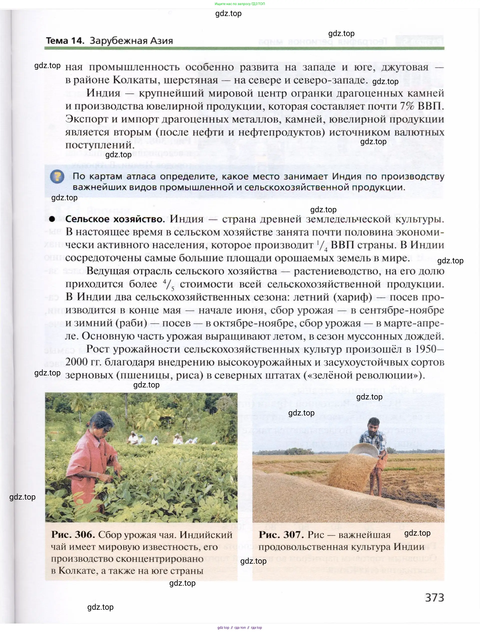 География, 10 класс Учебник, автор: Холина Вероника Николаевна, издательство Просвещение, Москва, 2019, белого цвета, страница 373