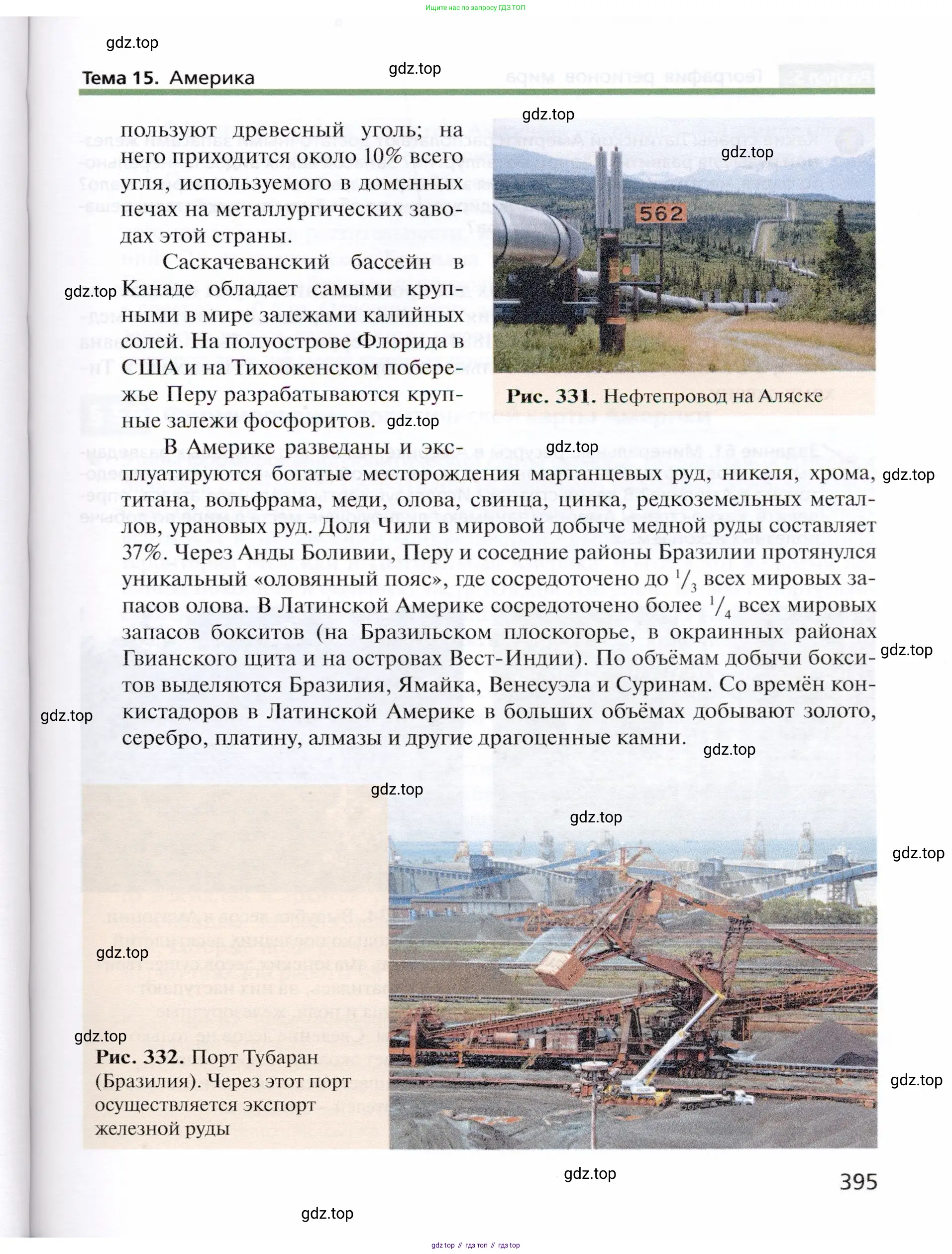 География, 10 класс Учебник, автор: Холина Вероника Николаевна, издательство Просвещение, Москва, 2019, белого цвета, страница 395
