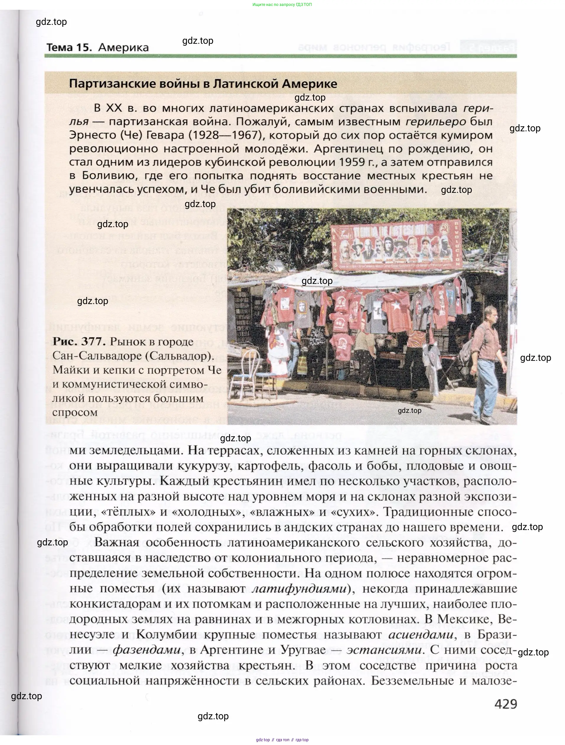 География, 10 класс Учебник, автор: Холина Вероника Николаевна, издательство Просвещение, Москва, 2019, белого цвета, страница 429