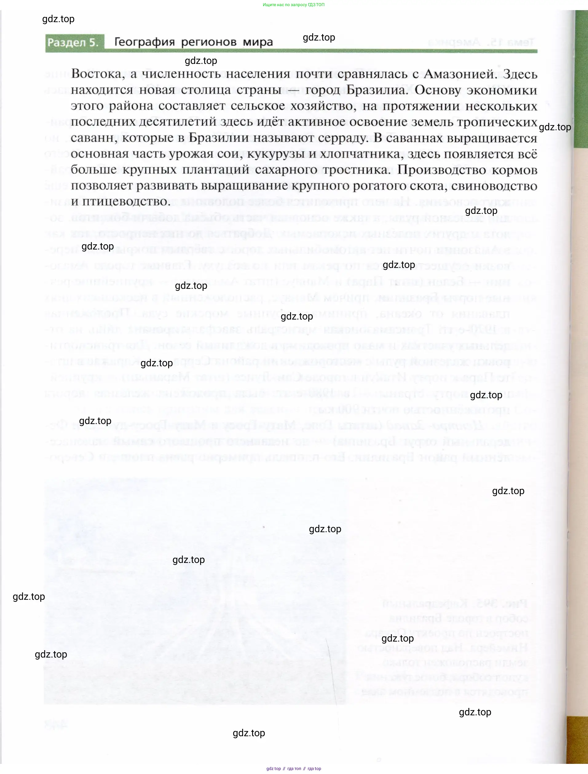 География, 10 класс Учебник, автор: Холина Вероника Николаевна, издательство Просвещение, Москва, 2019, белого цвета, страница 444