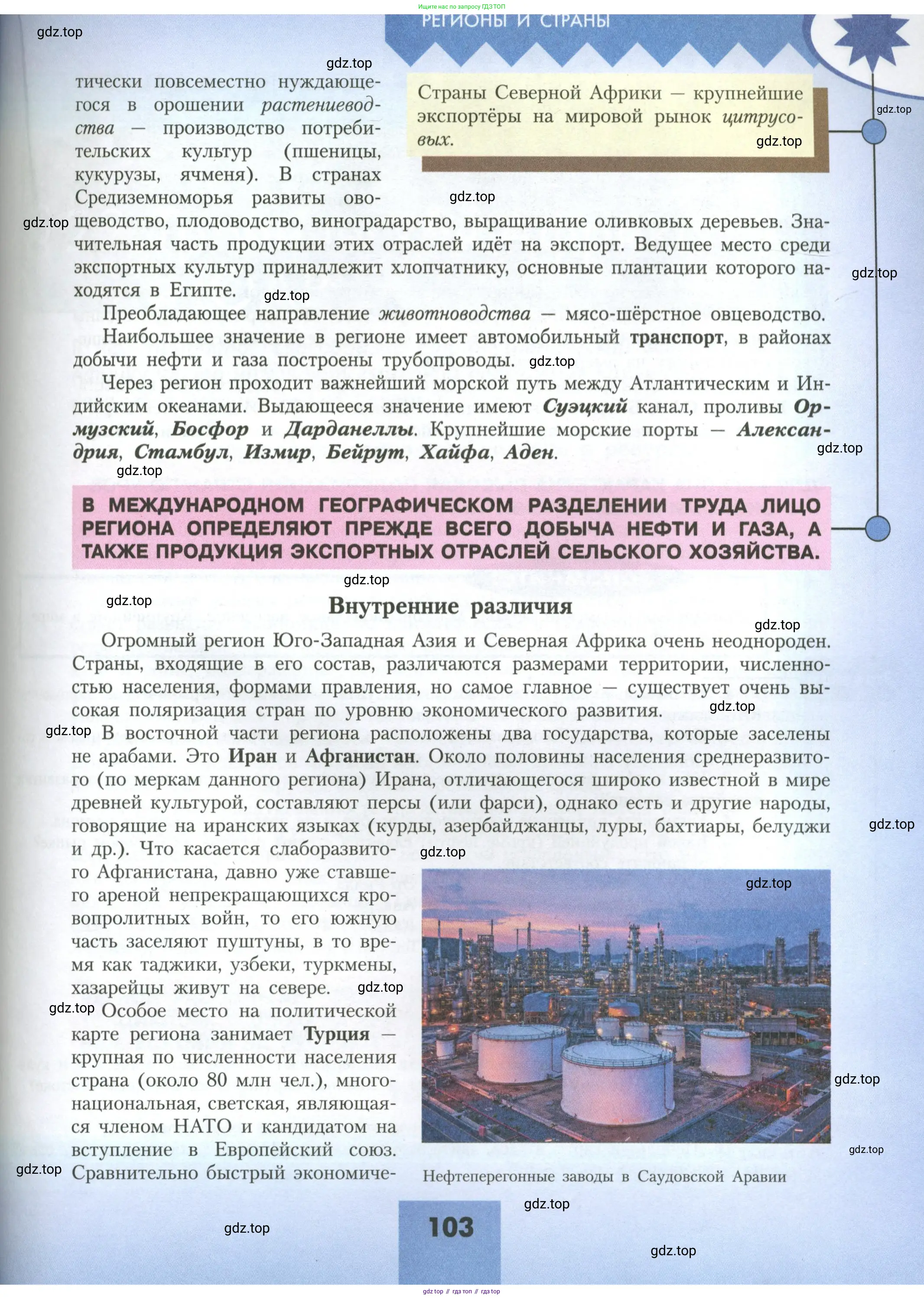 География, 11 класс Учебник, авторы: Гладкий Юрий Никифорович, Николина Вера Викторовна, издательство Просвещение, Москва, 2019, жёлтого цвета, страница 103