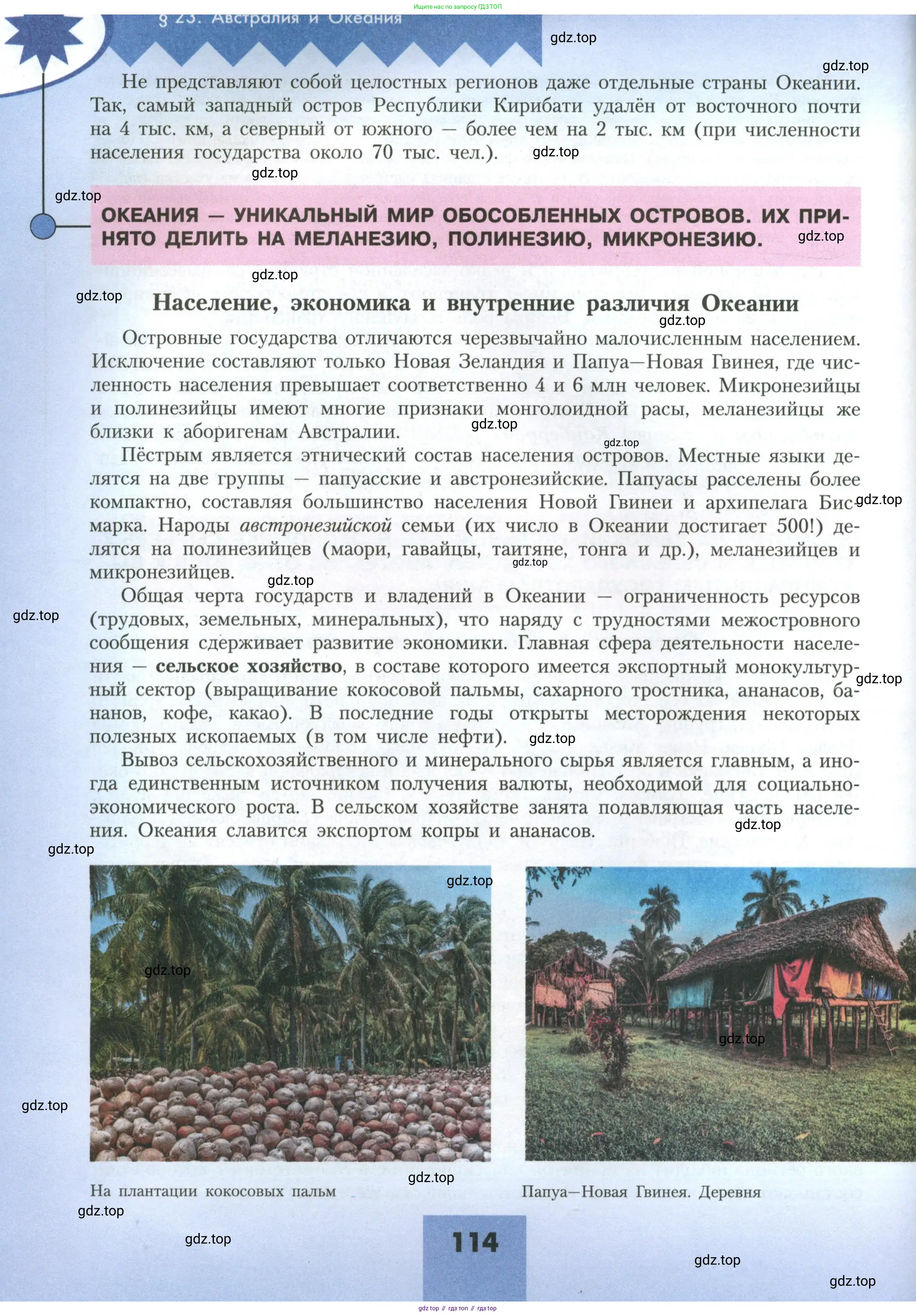 География, 11 класс Учебник, авторы: Гладкий Юрий Никифорович, Николина Вера Викторовна, издательство Просвещение, Москва, 2019, жёлтого цвета, страница 114