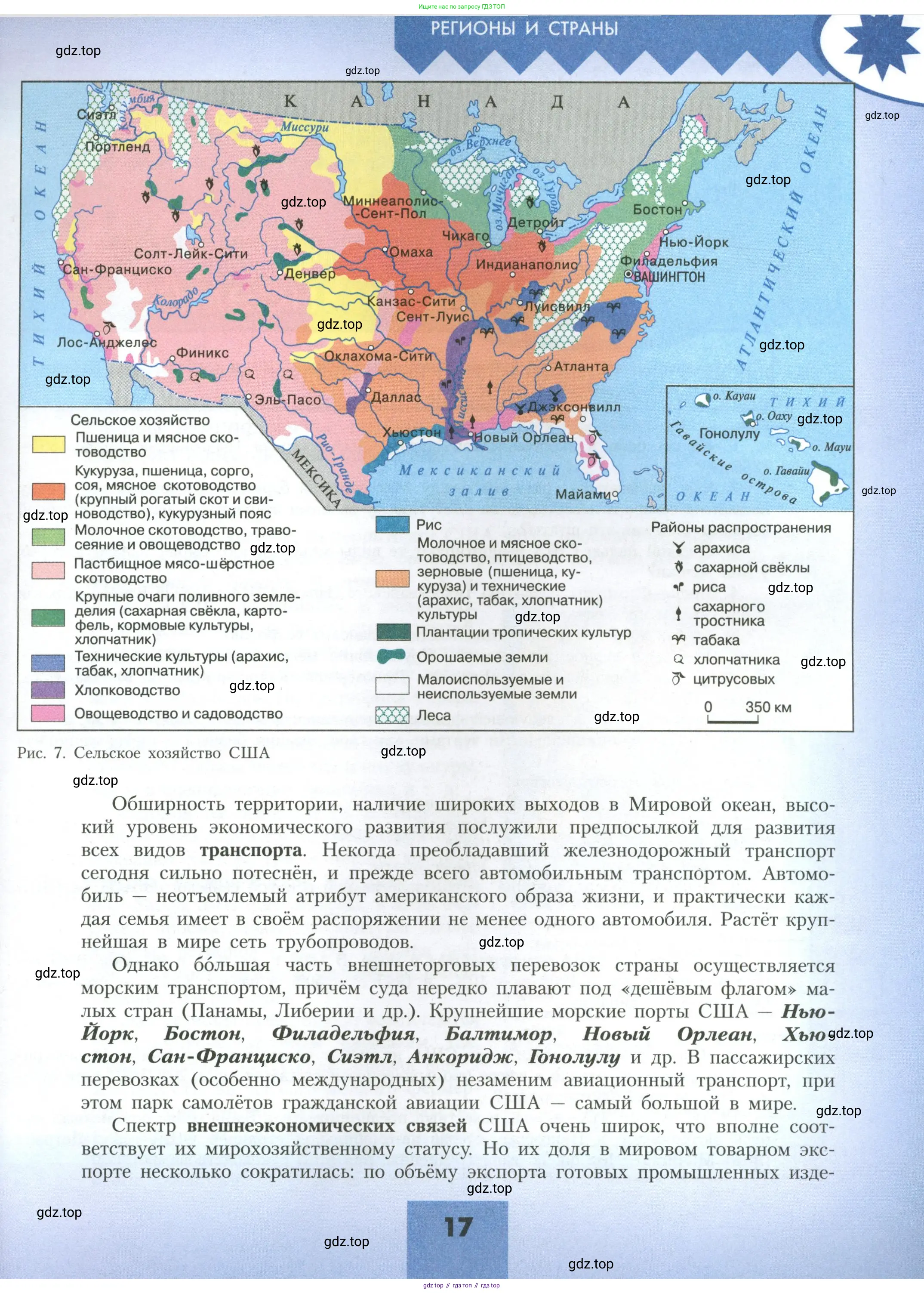 География, 11 класс Учебник, авторы: Гладкий Юрий Никифорович, Николина Вера Викторовна, издательство Просвещение, Москва, 2019, жёлтого цвета, страница 17