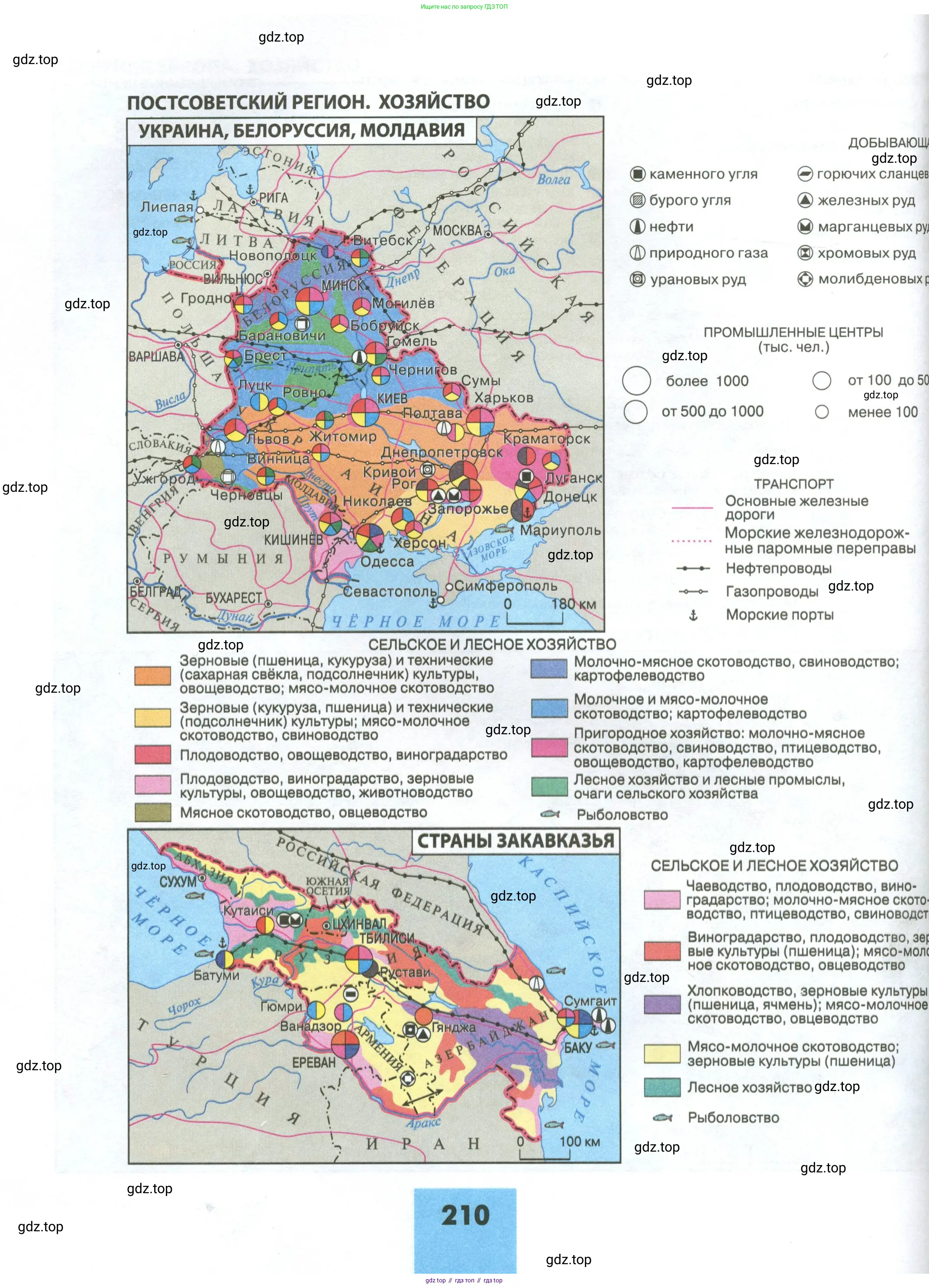 География, 11 класс Учебник, авторы: Гладкий Юрий Никифорович, Николина Вера Викторовна, издательство Просвещение, Москва, 2019, жёлтого цвета, страница 210