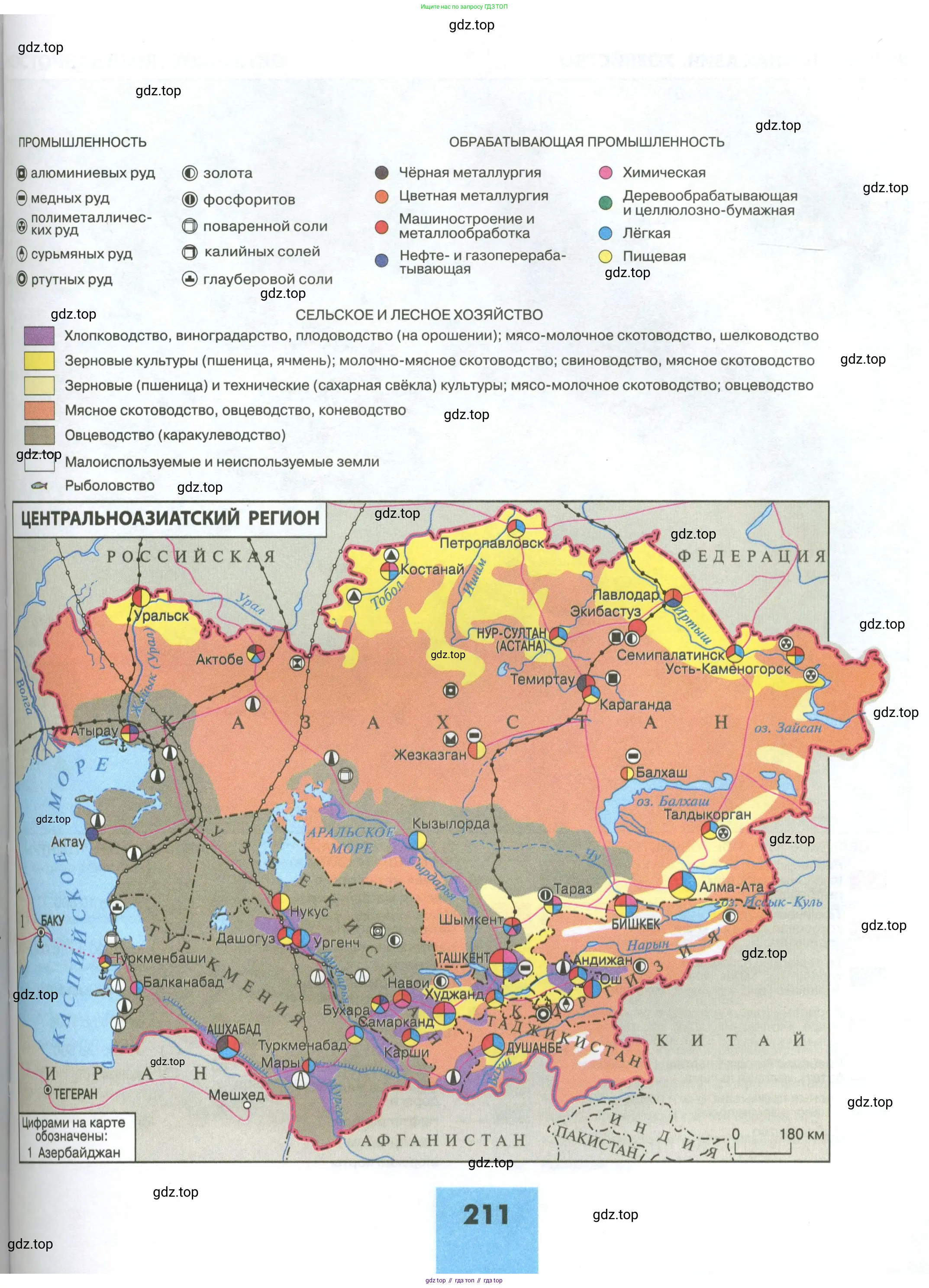География, 11 класс Учебник, авторы: Гладкий Юрий Никифорович, Николина Вера Викторовна, издательство Просвещение, Москва, 2019, жёлтого цвета, страница 211