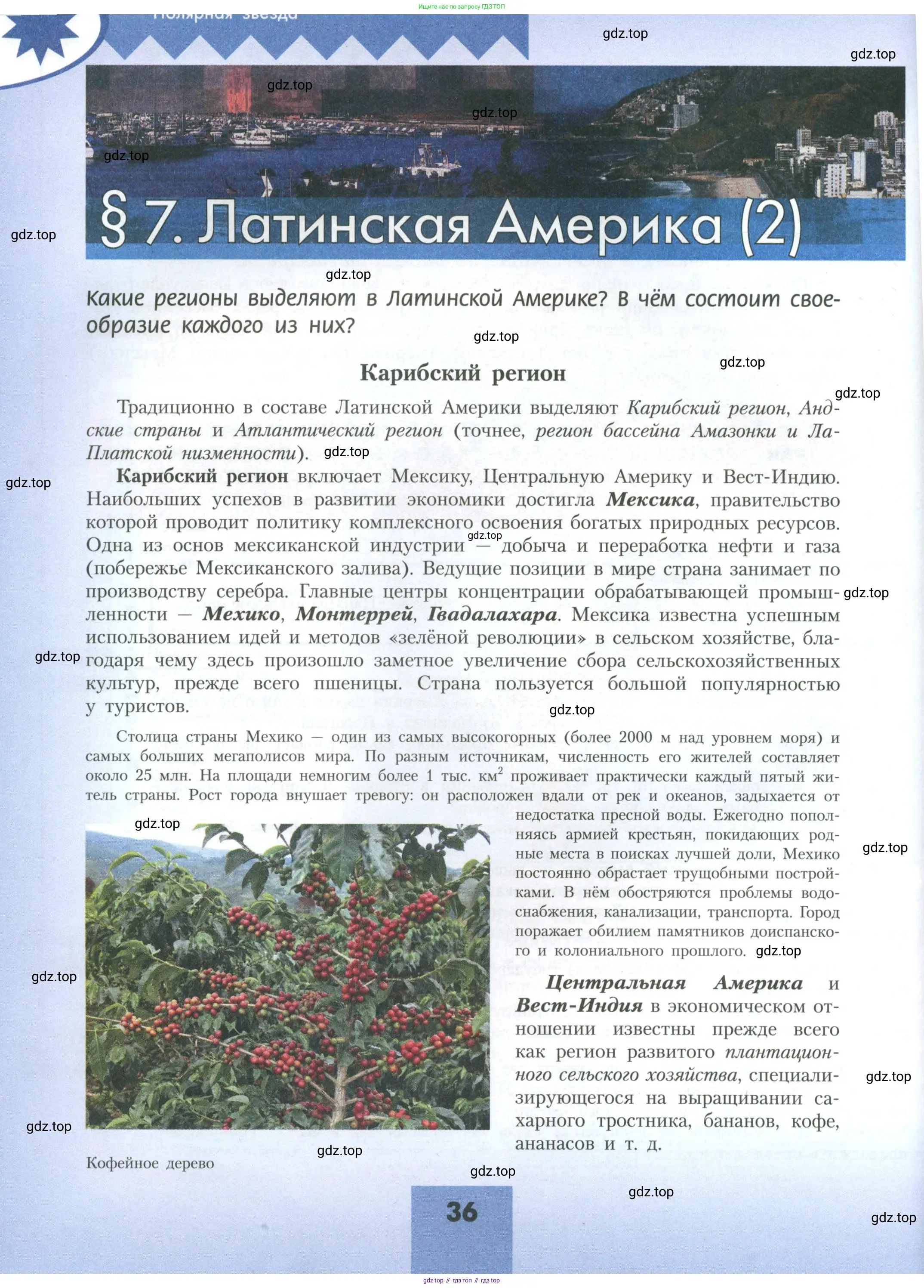 География, 11 класс Учебник, авторы: Гладкий Юрий Никифорович, Николина Вера Викторовна, издательство Просвещение, Москва, 2019, жёлтого цвета, страница 36