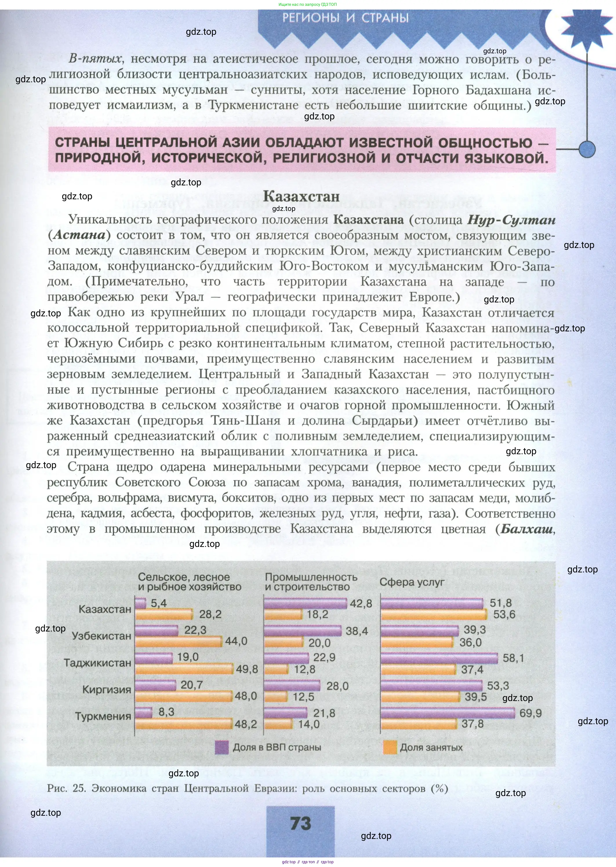 География, 11 класс Учебник, авторы: Гладкий Юрий Никифорович, Николина Вера Викторовна, издательство Просвещение, Москва, 2019, жёлтого цвета, страница 73