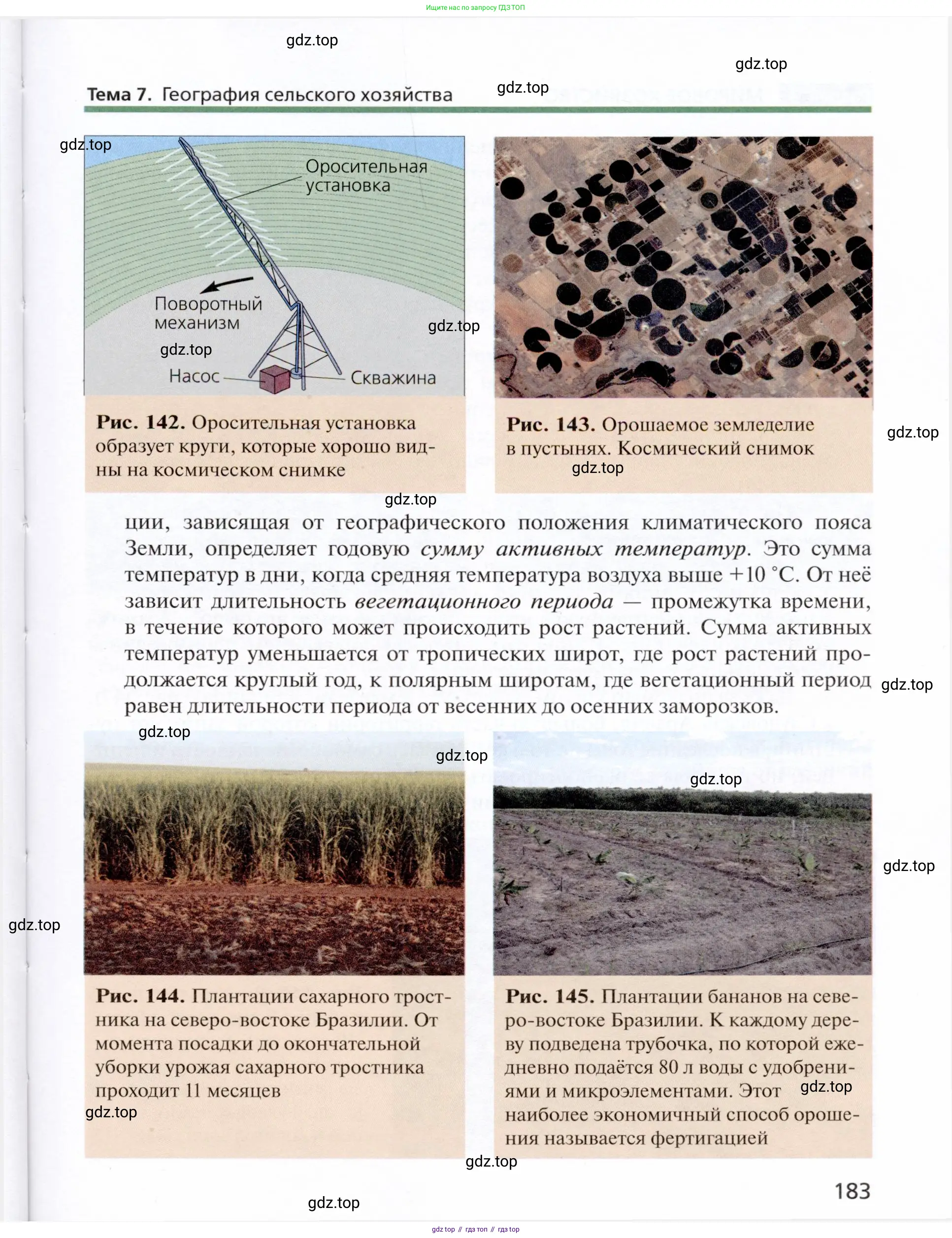 География, 11 класс Учебник, автор: Холина Вероника Николаевна, издательство Просвещение, Москва, 2019, белого цвета, страница 183