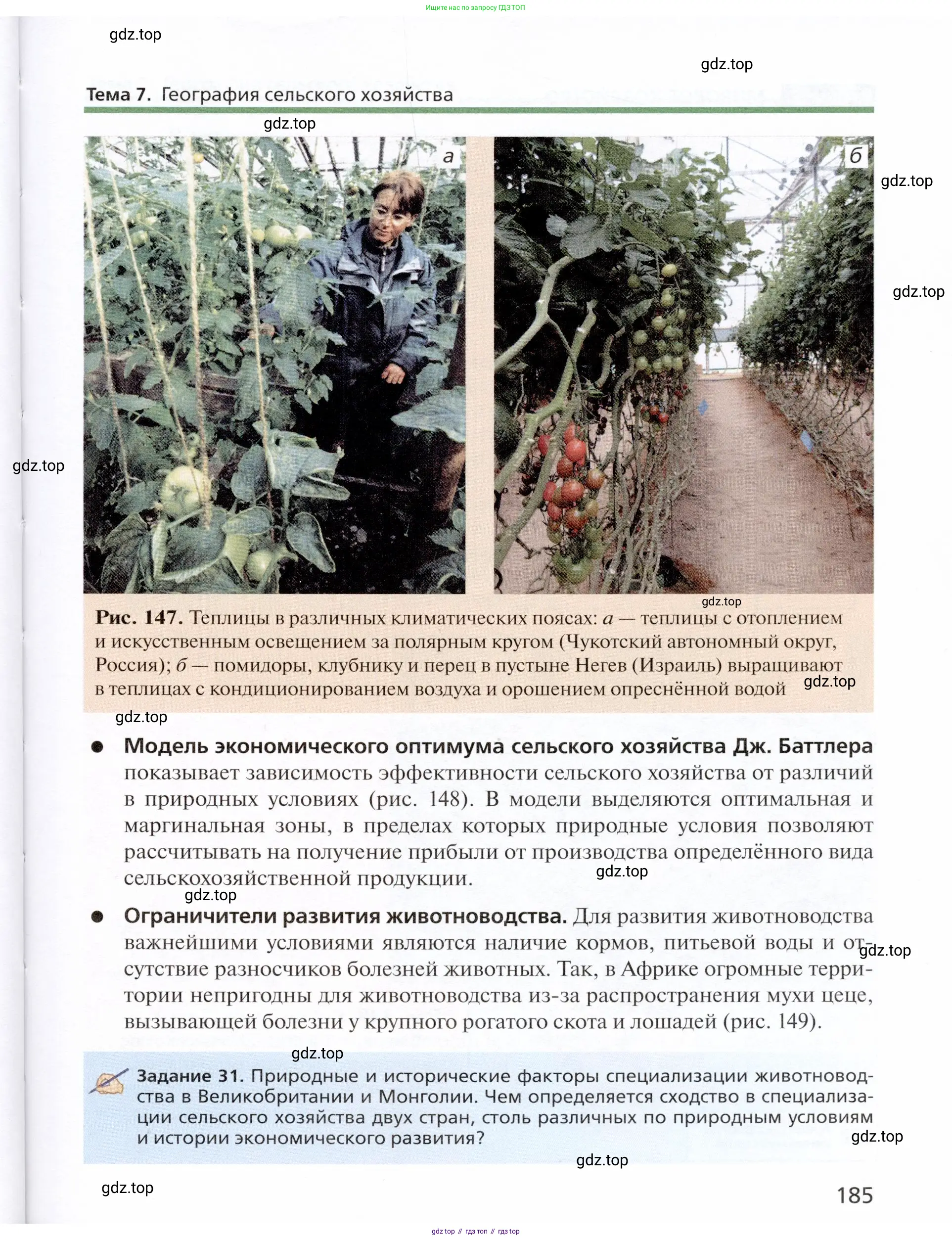 География, 11 класс Учебник, автор: Холина Вероника Николаевна, издательство Просвещение, Москва, 2019, белого цвета, страница 185
